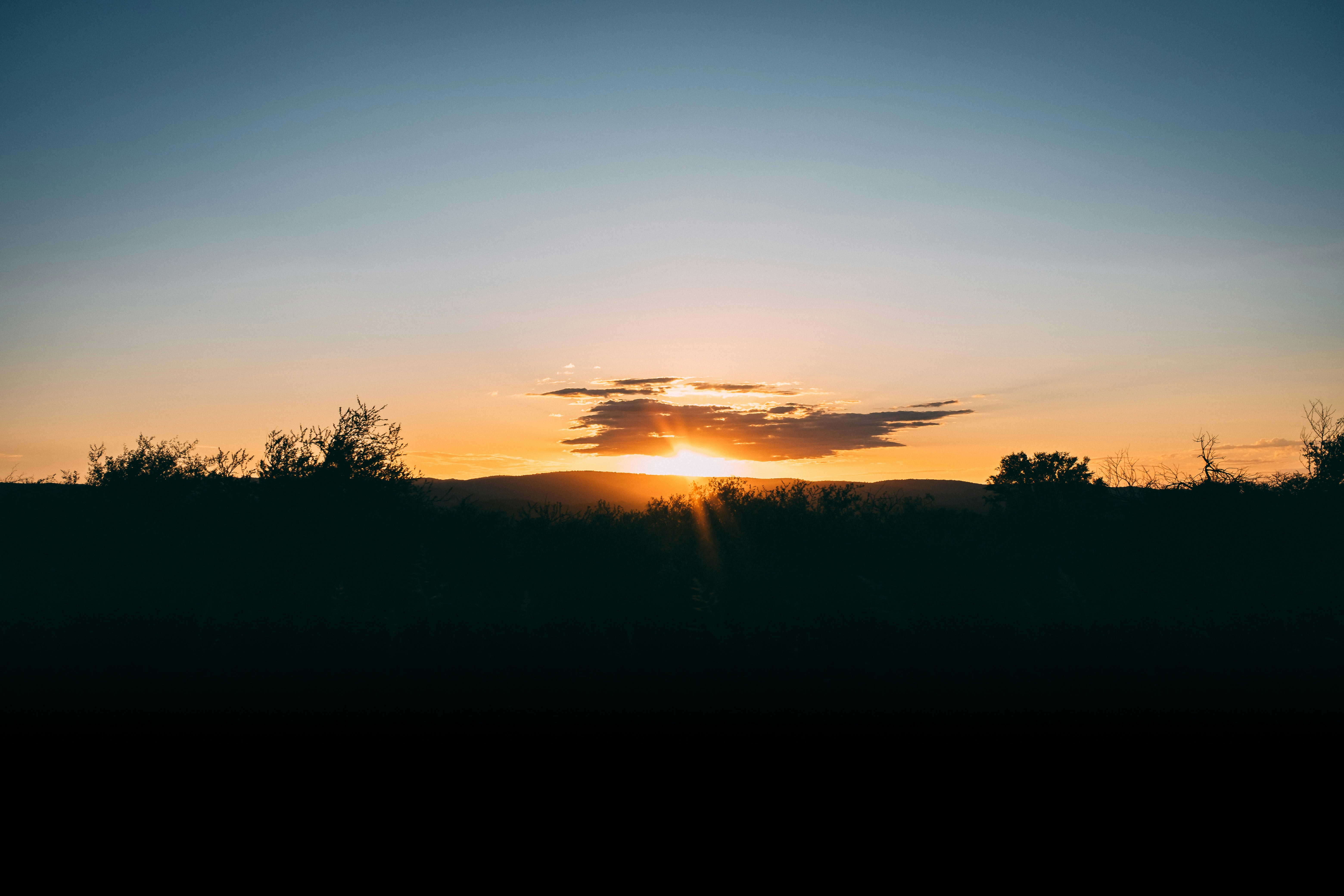 Photo by facumontanaro