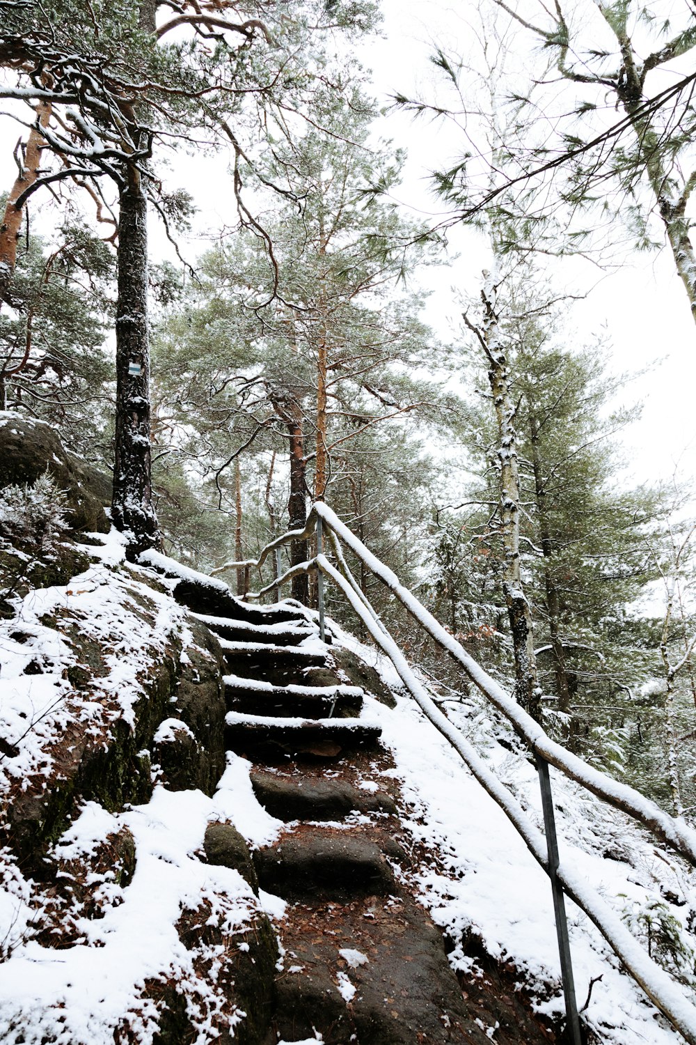 Eine Reihe von Stufen, die einen verschneiten Hügel hinaufführen