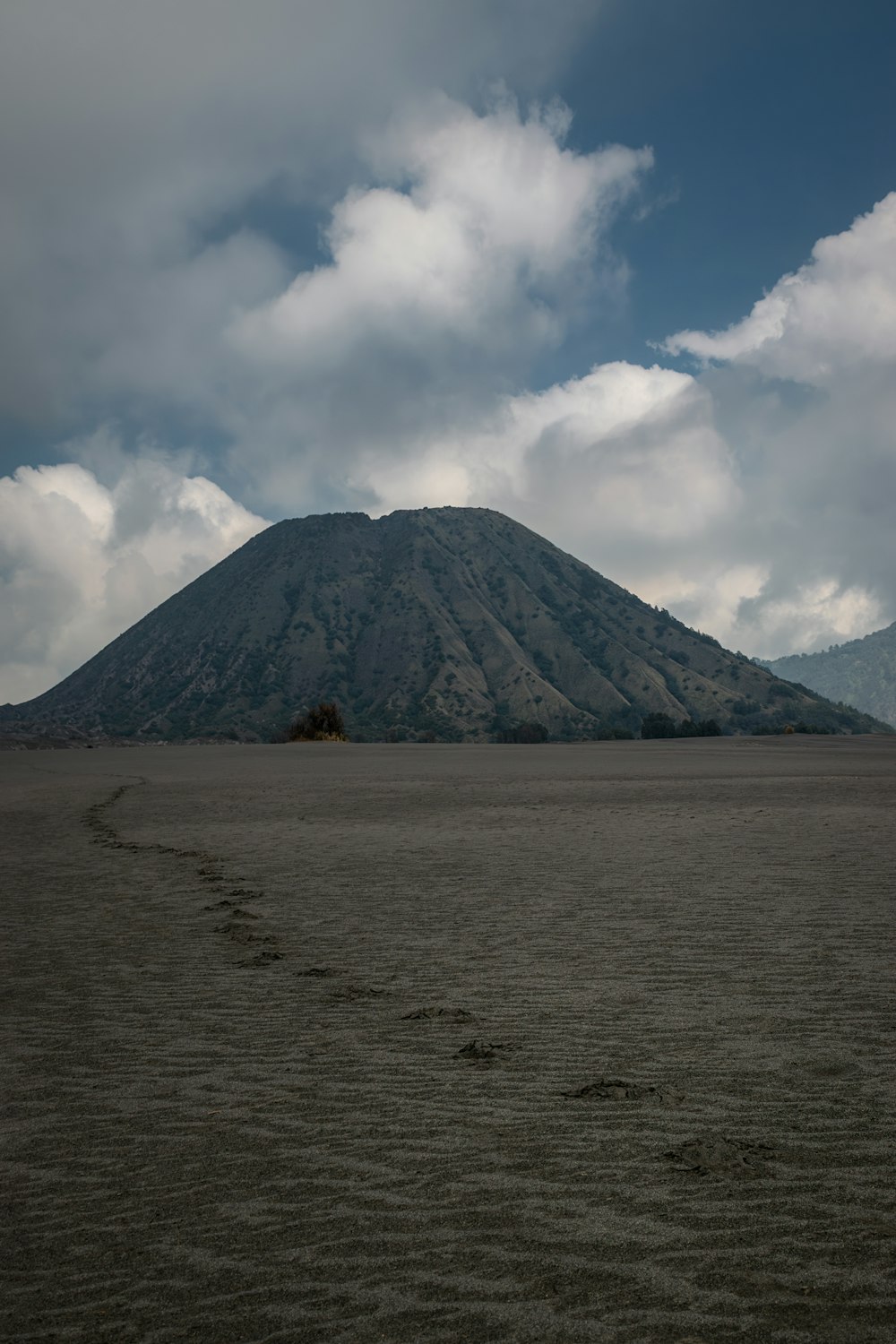 a large mountain in the distance with a trail in the foreground