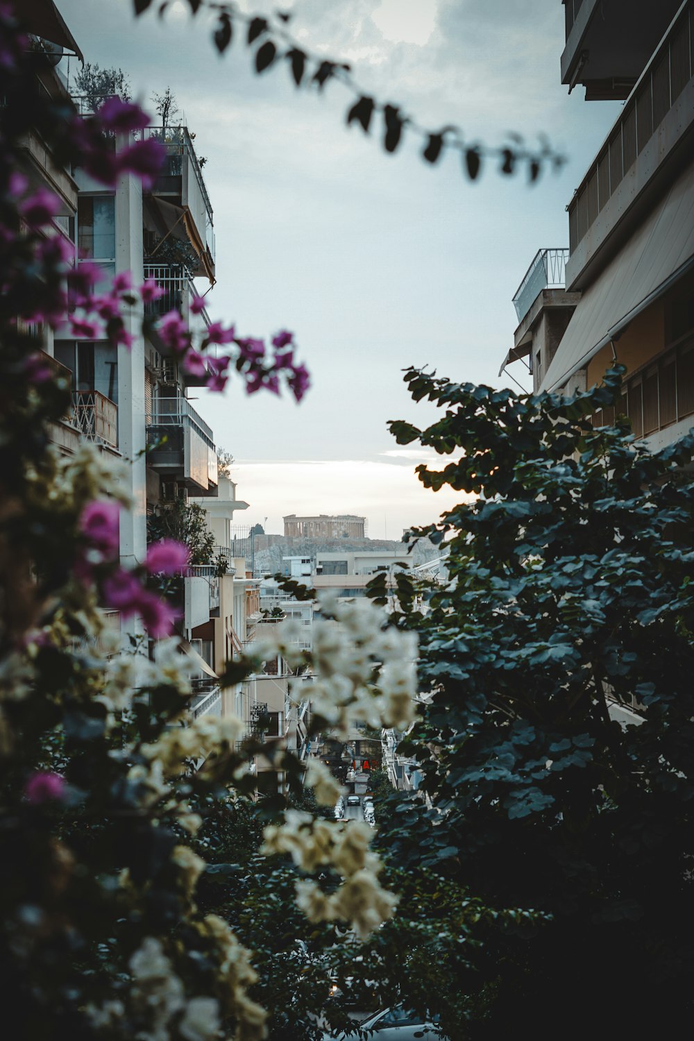 a view of a city from a distance