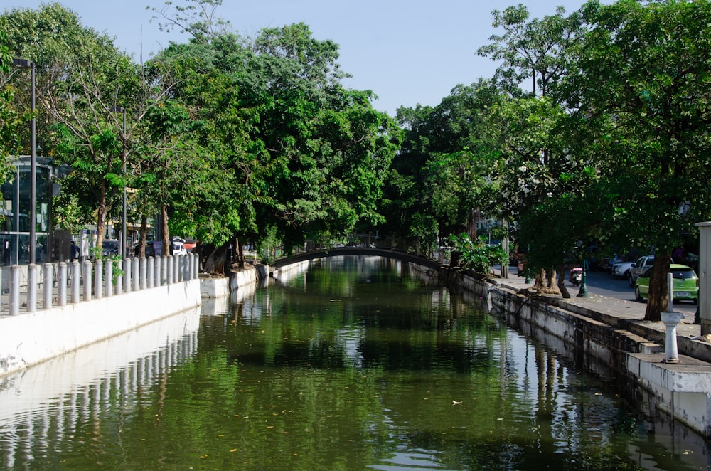 a river running through a lush green park