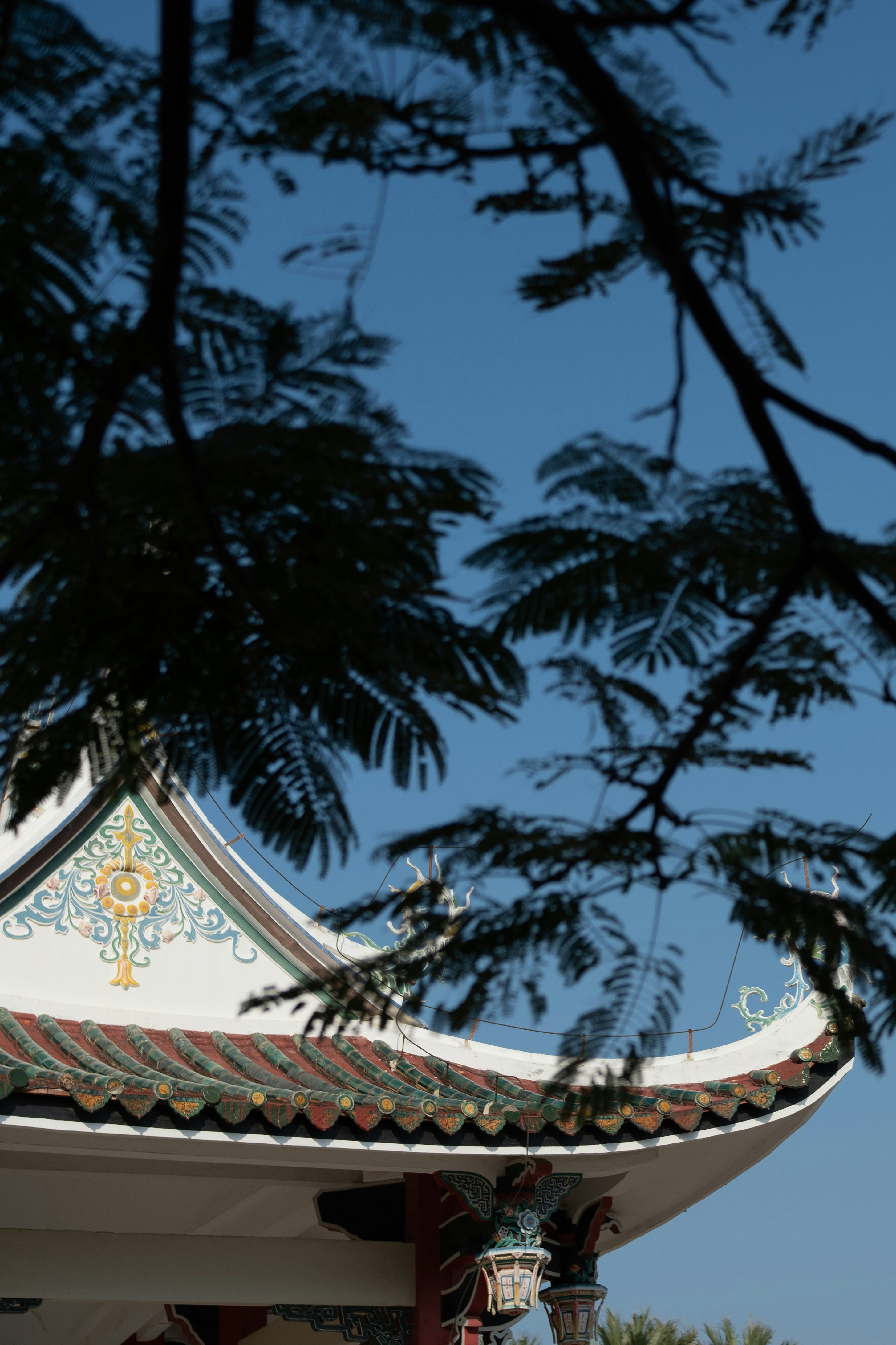 Photo by toxicsmoker