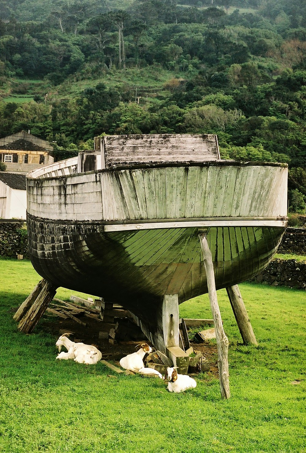 a boat sitting on top of a lush green field