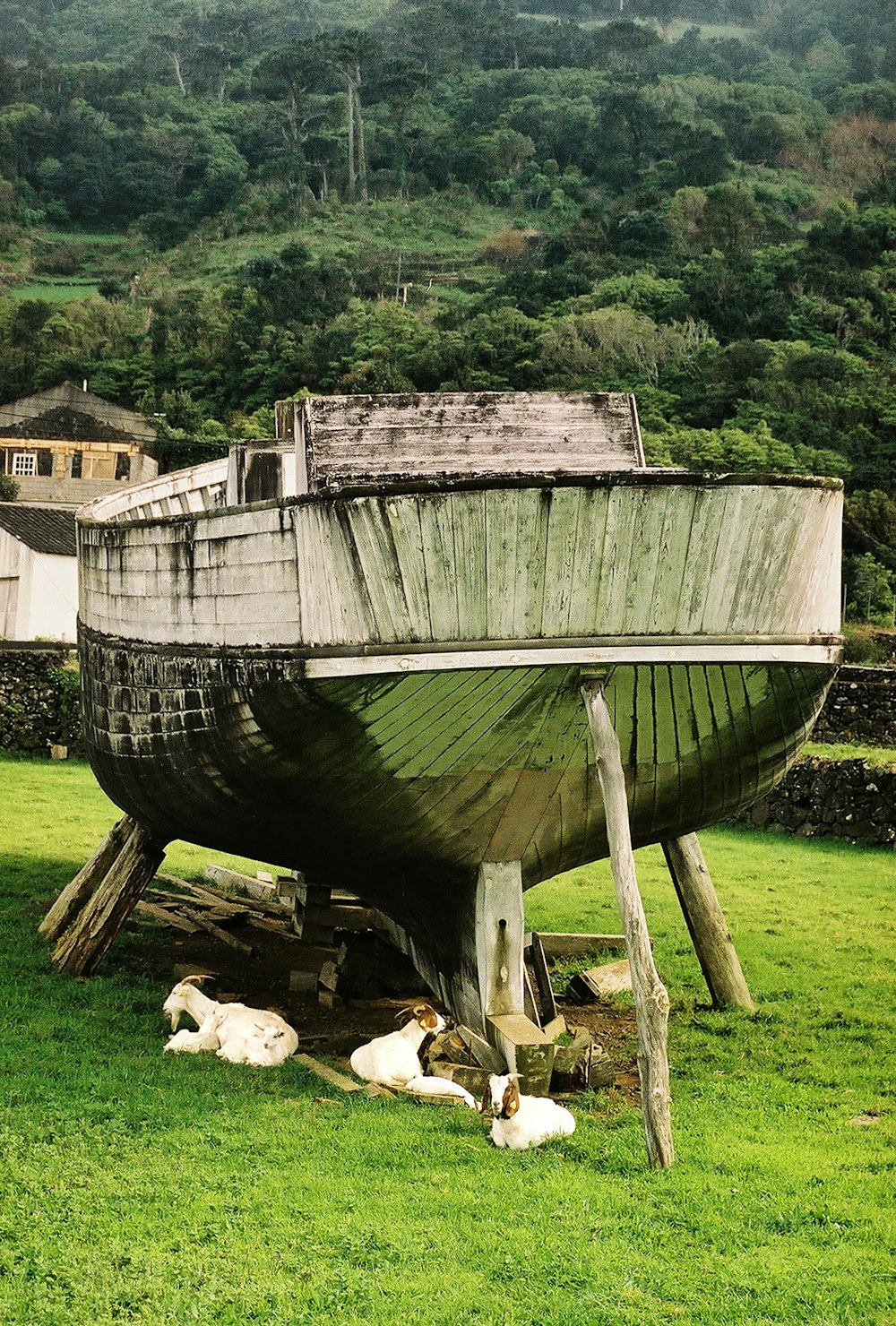 Ein Boot, das auf einer üppig grünen Wiese sitzt