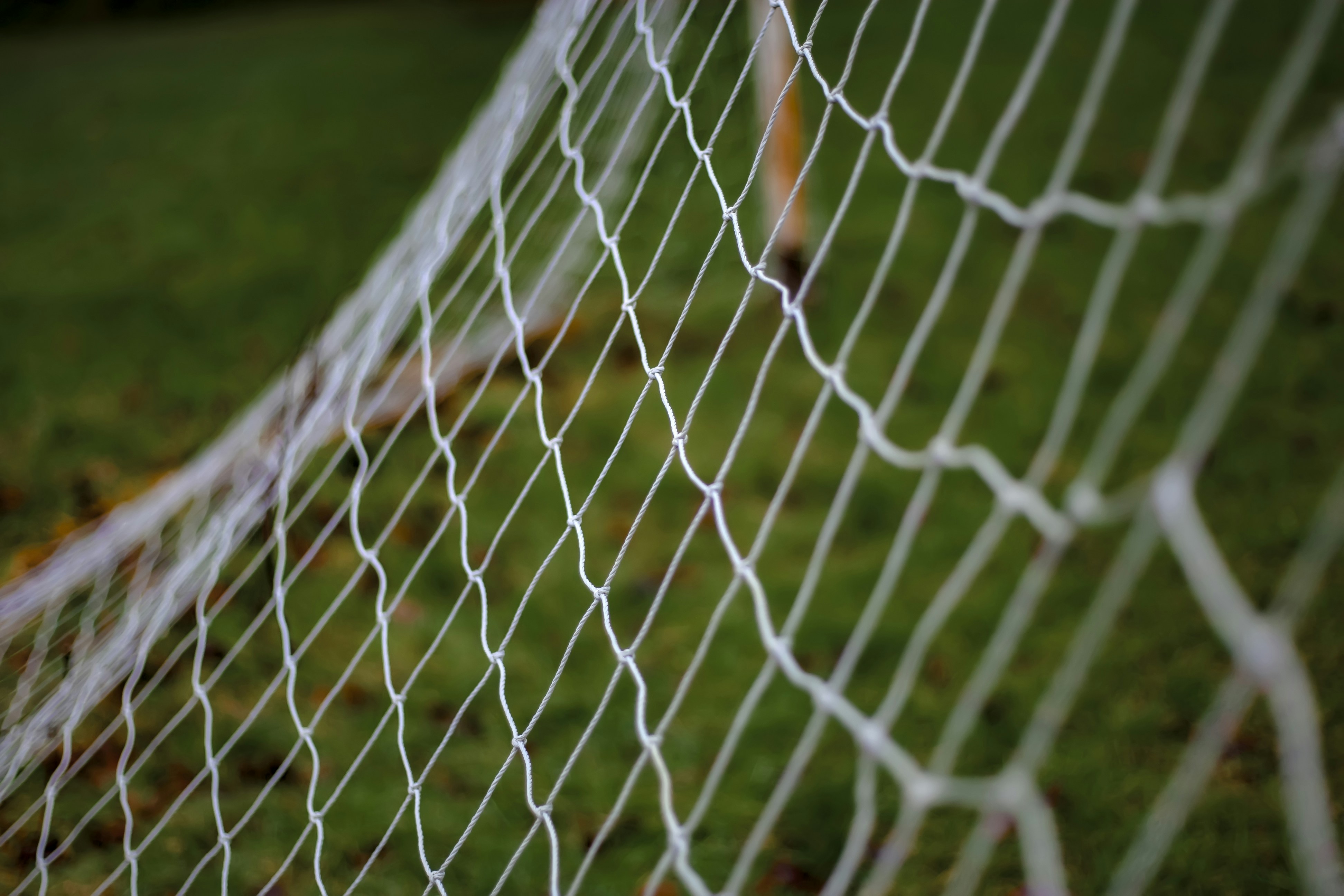 Goal net