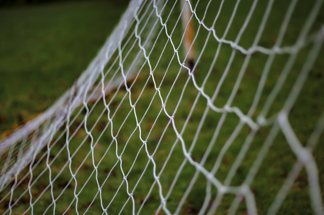 Goal net