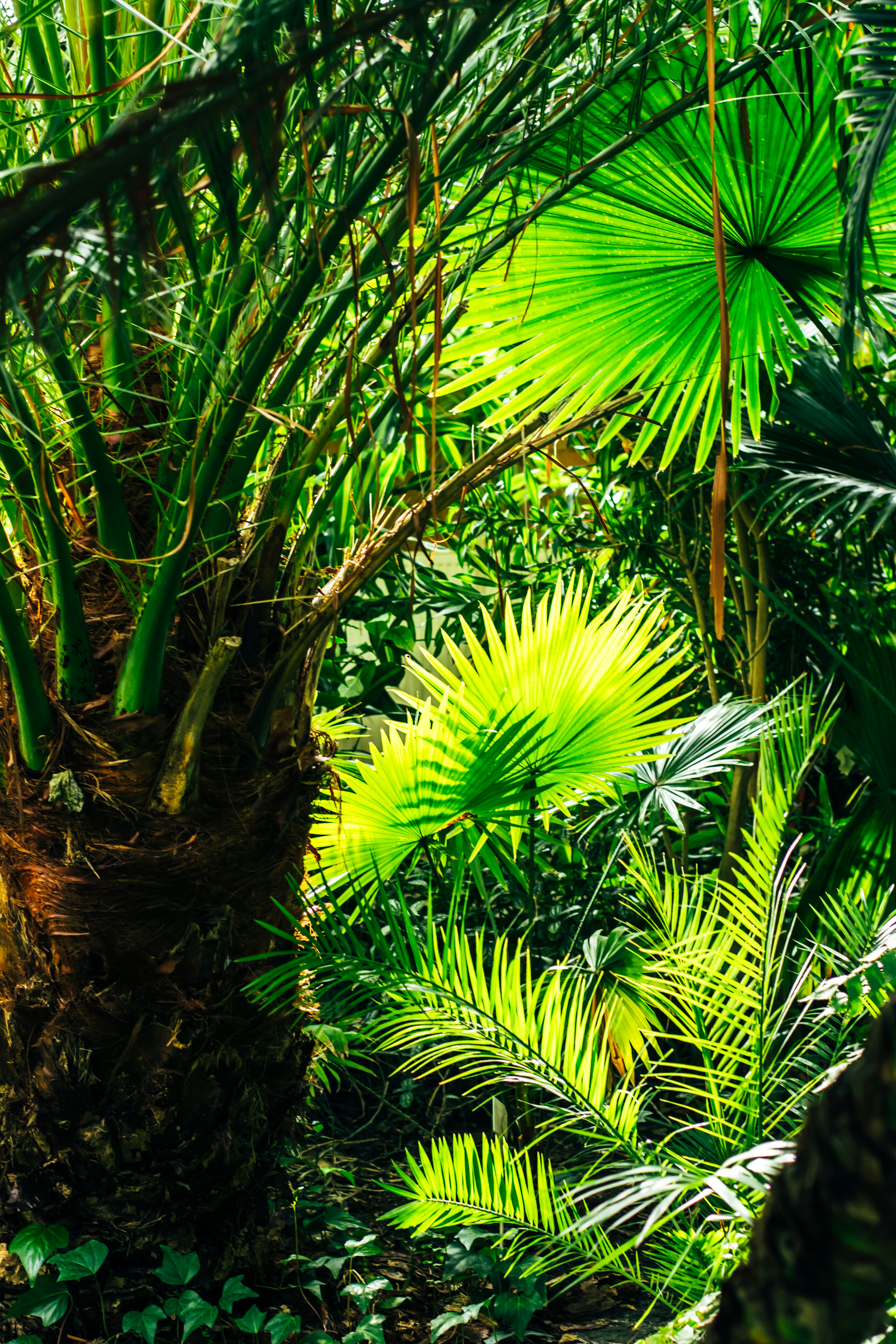 Photo by eugenivy_now