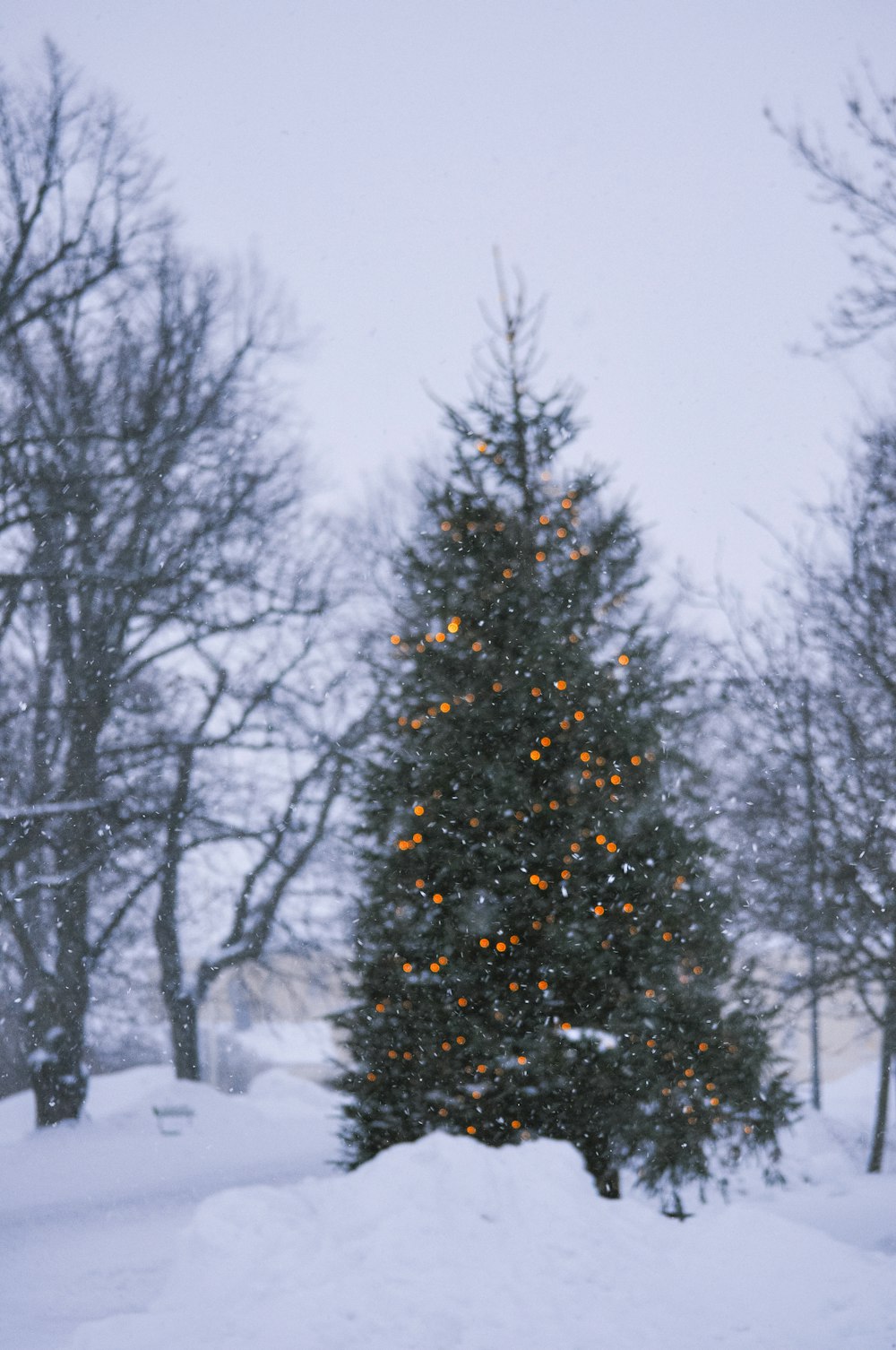 a large christmas tree in the middle of a snowy field