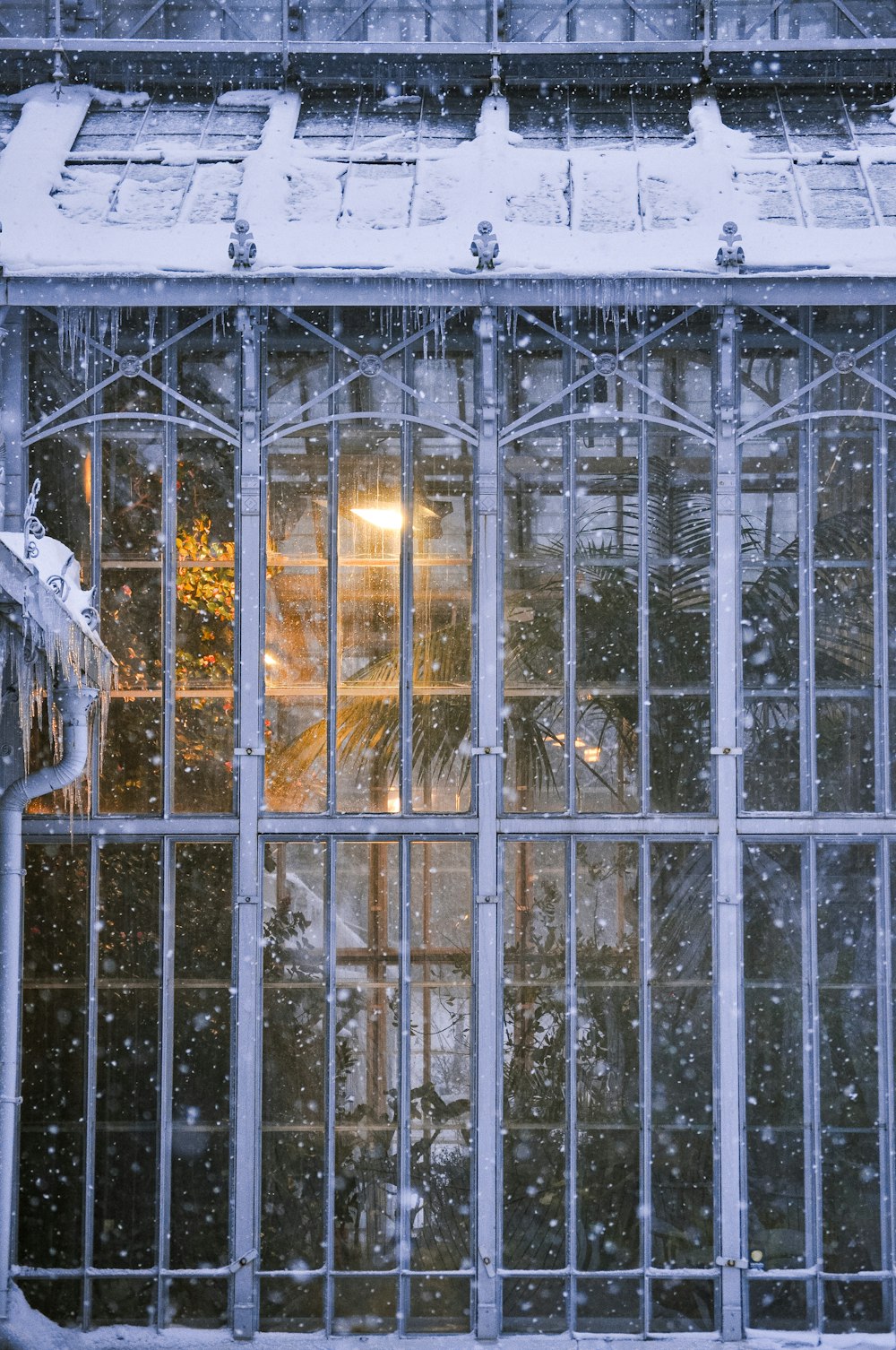 a building with a bunch of windows covered in snow