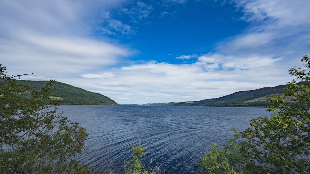 a large body of water surrounded by trees