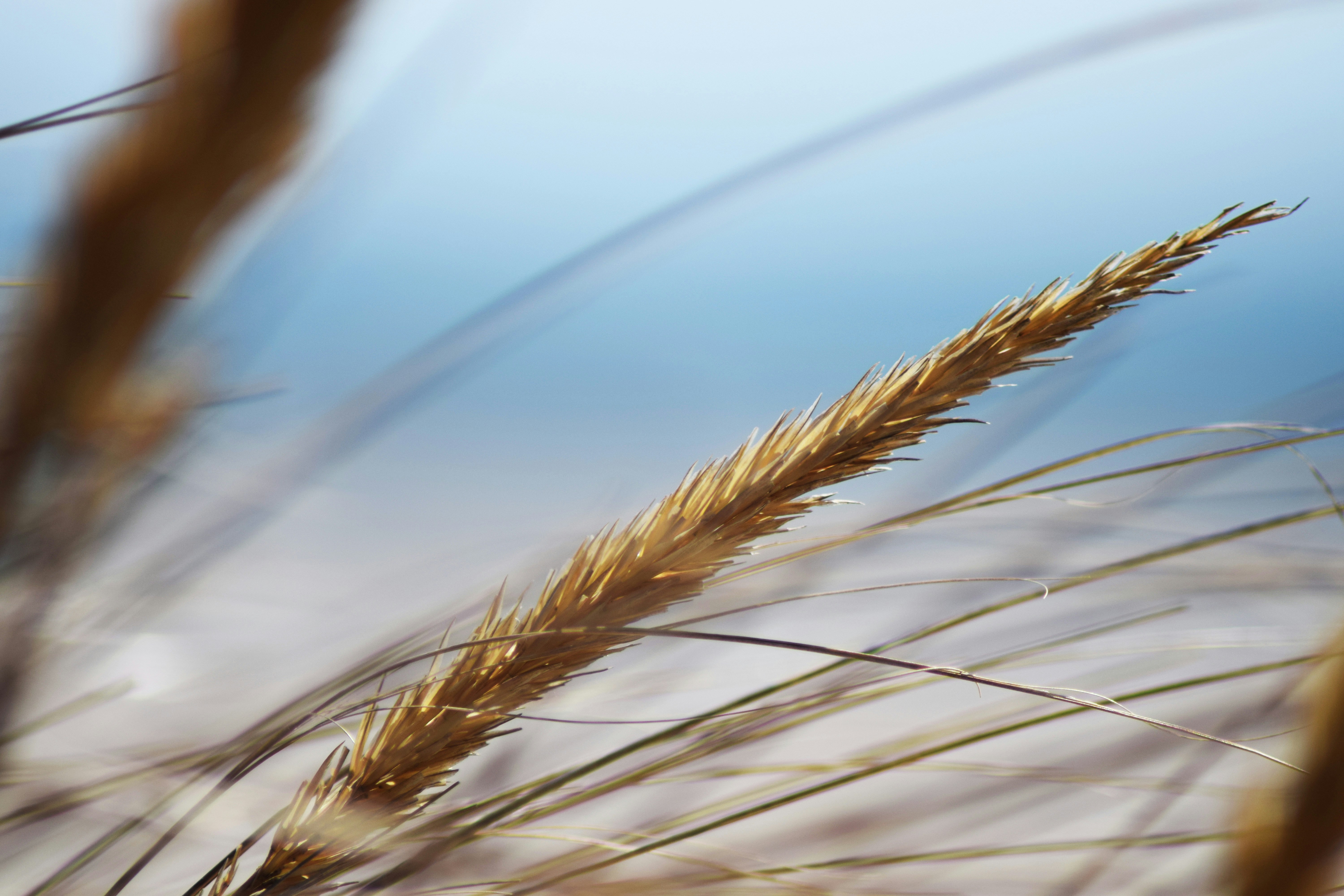 Photo by photosbycedes