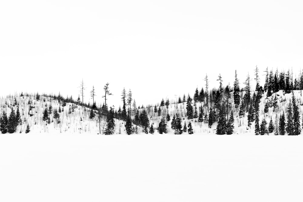 a black and white photo of a snow covered mountain