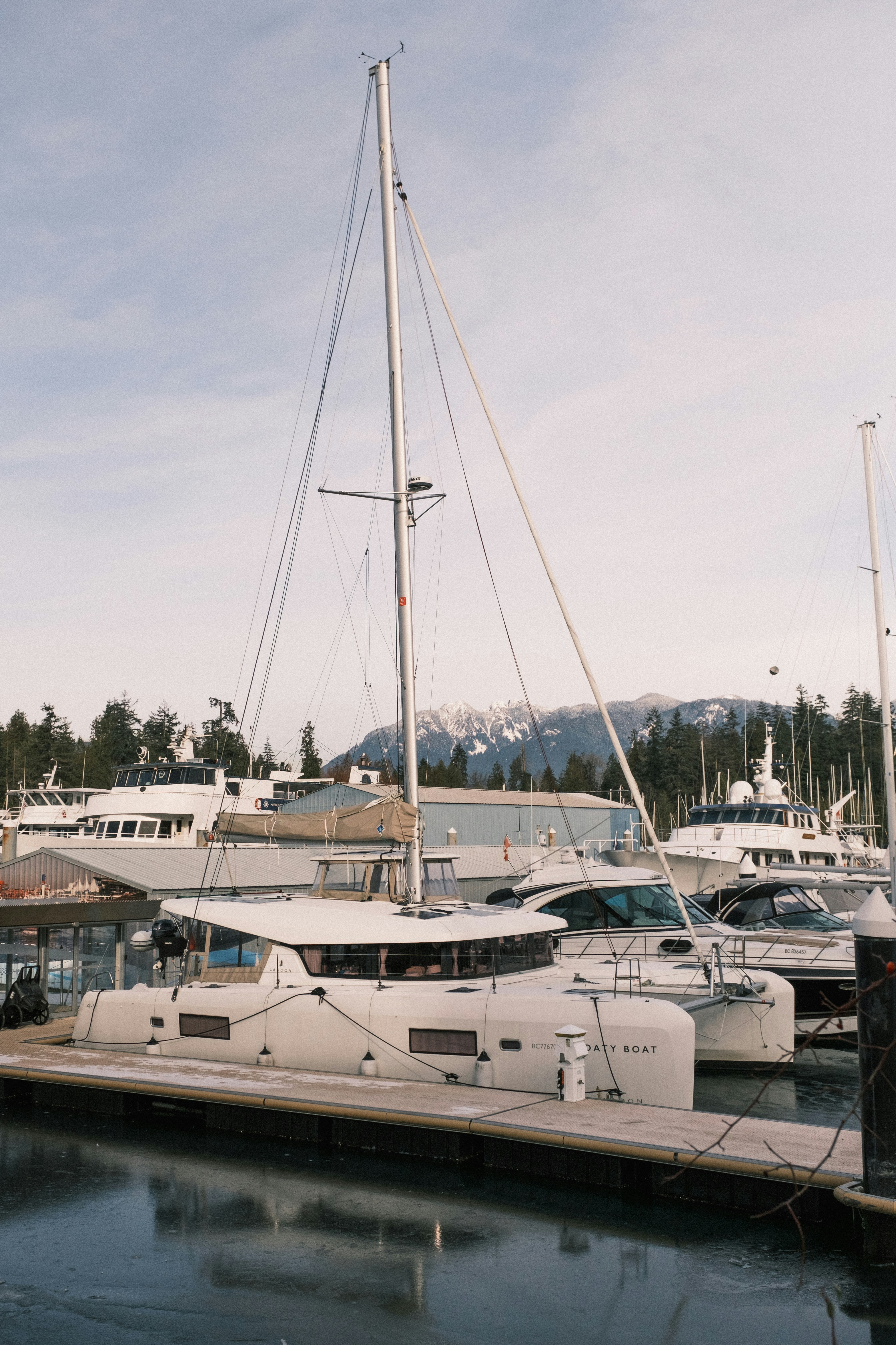 a group of boats docked at a dock
