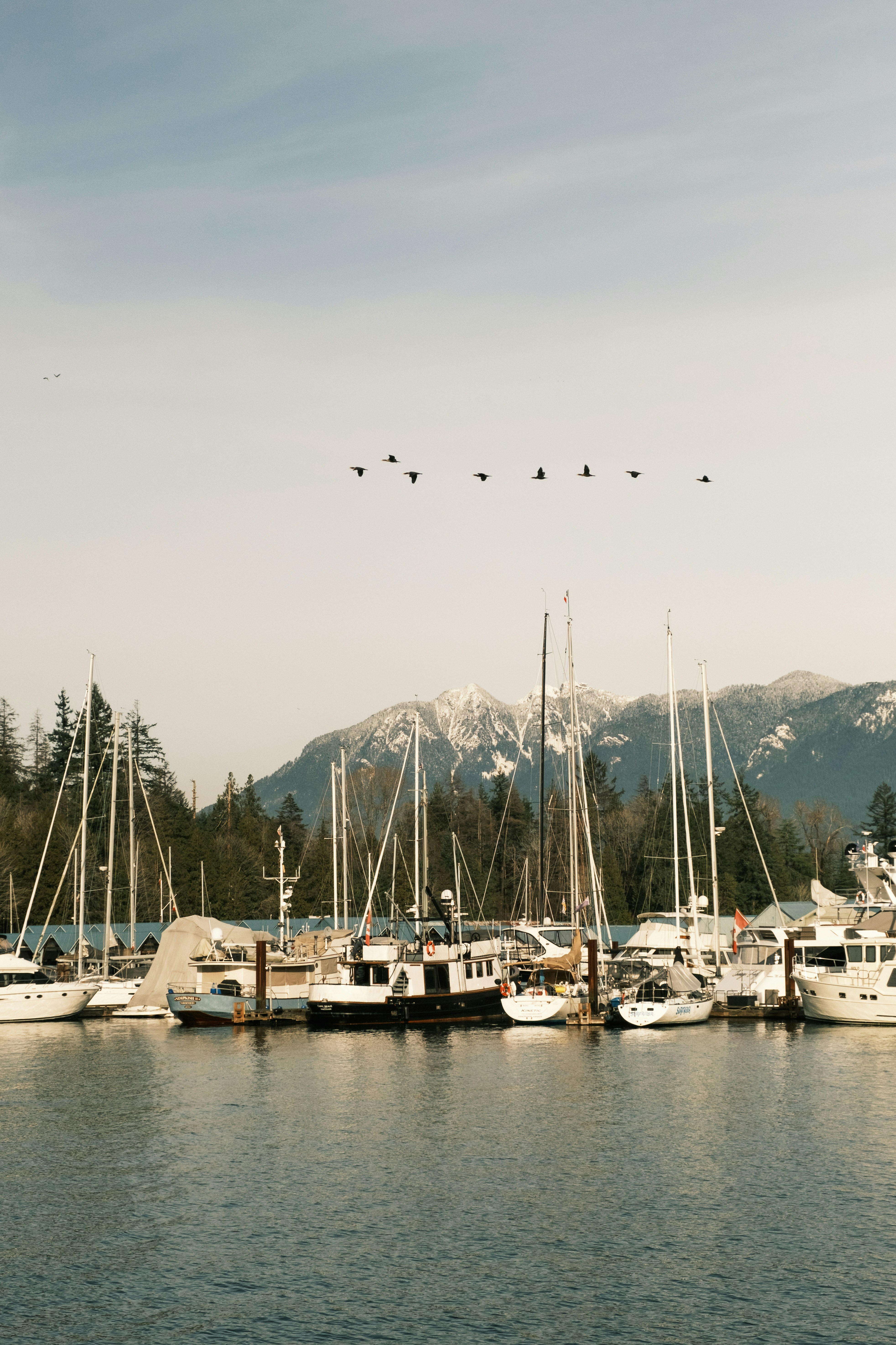 Photo by alexkurchev