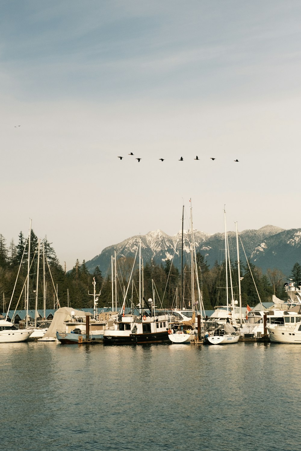 a bunch of boats that are in the water