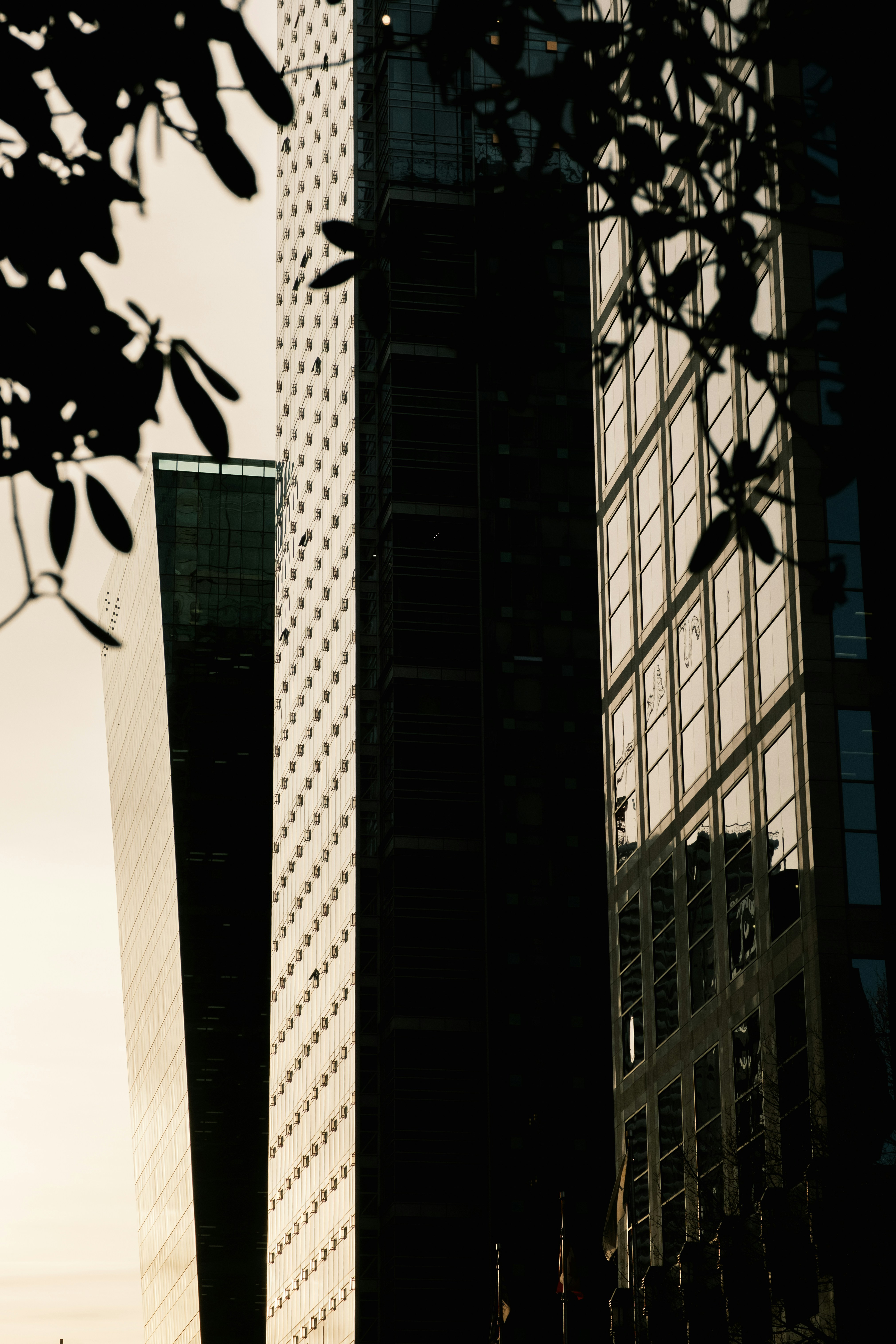 Photo by alexkurchev