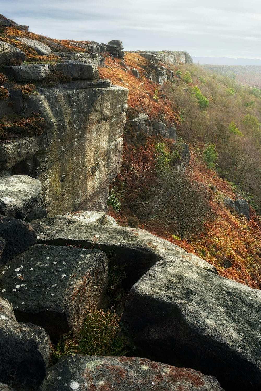 a view of a rocky cliff with trees in the distance