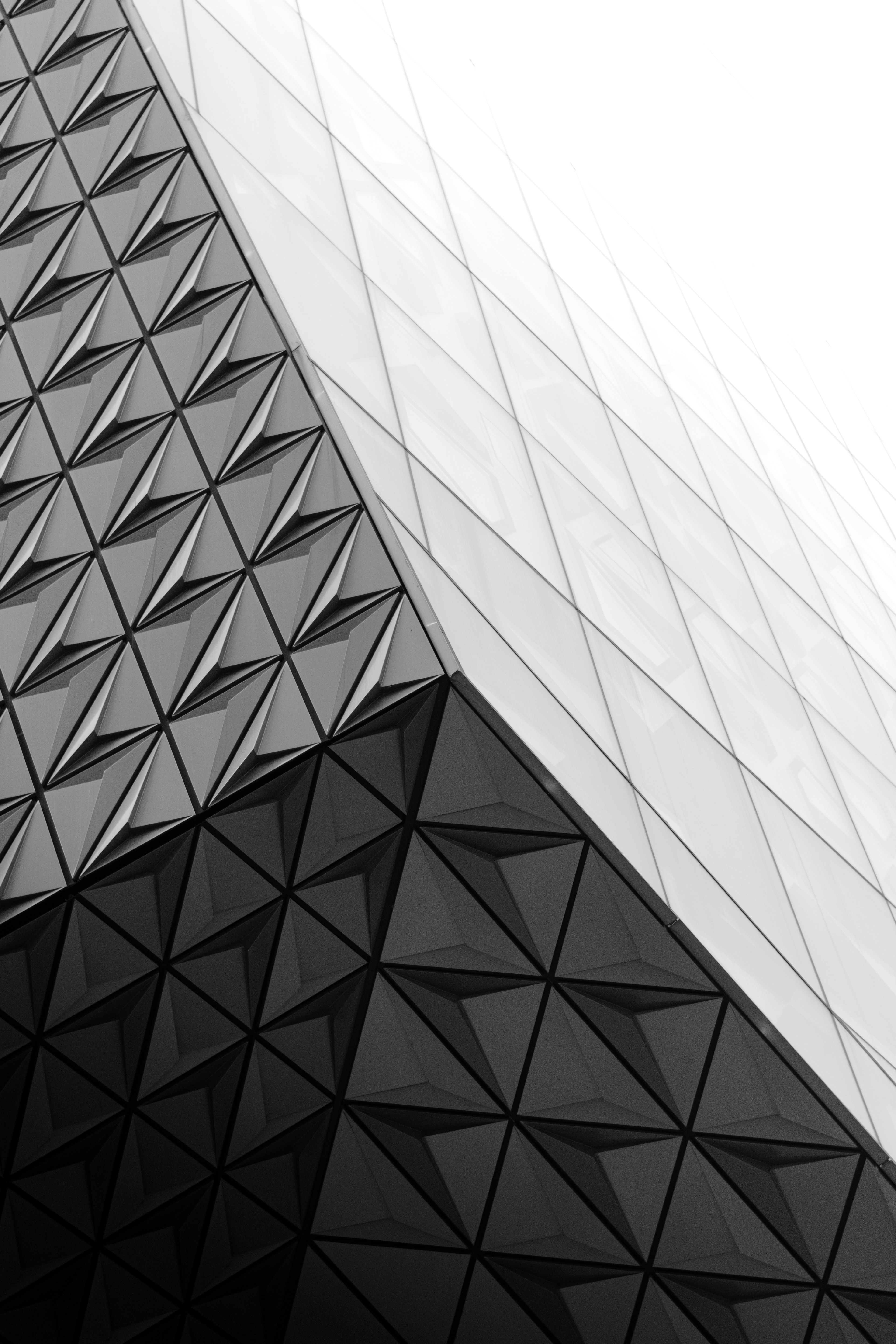 Photo by alisedighmoghadam