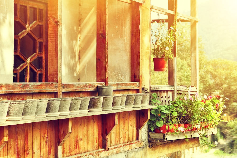 a wooden building with potted plants on the windowsill