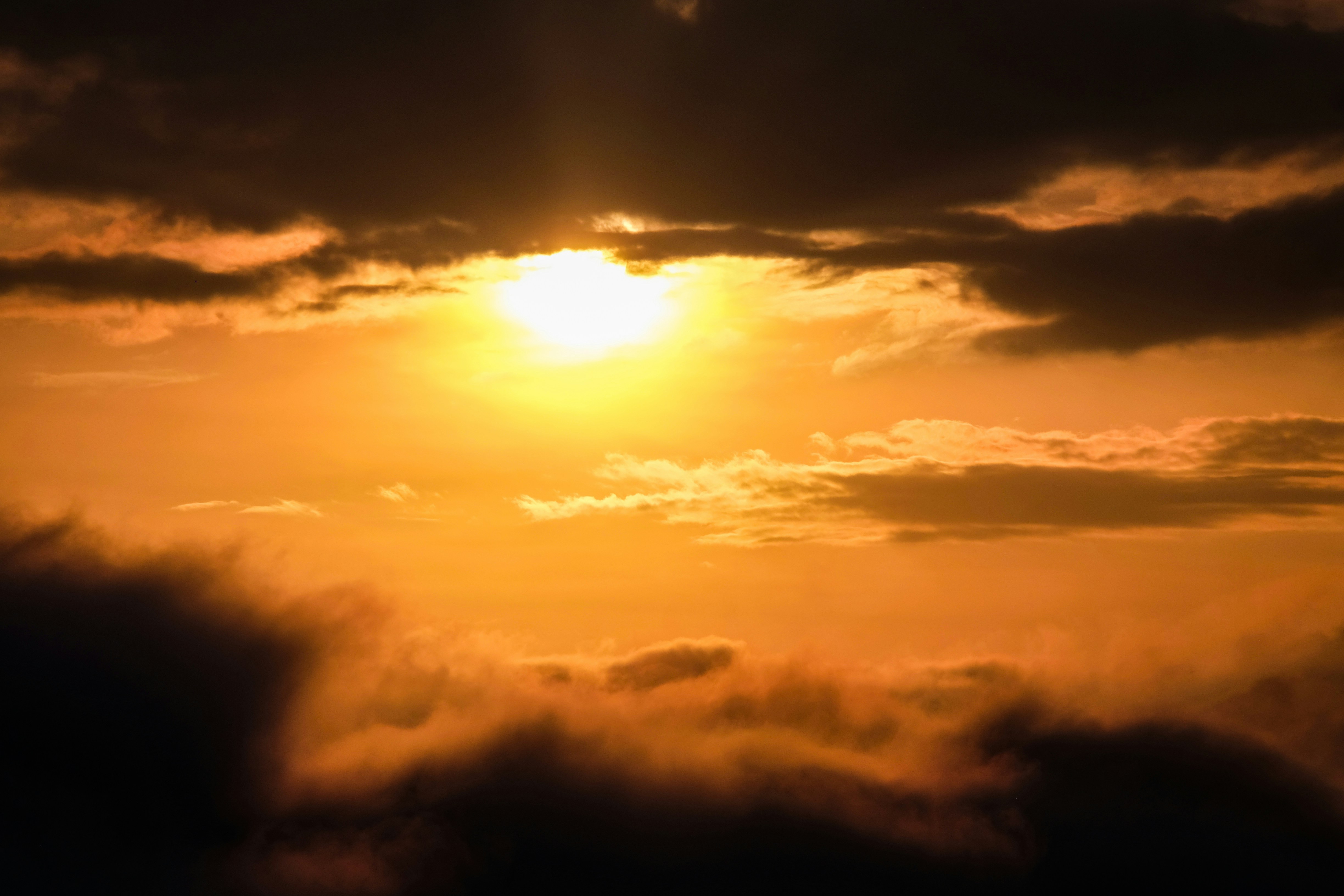 Photo by binhnguyen3033