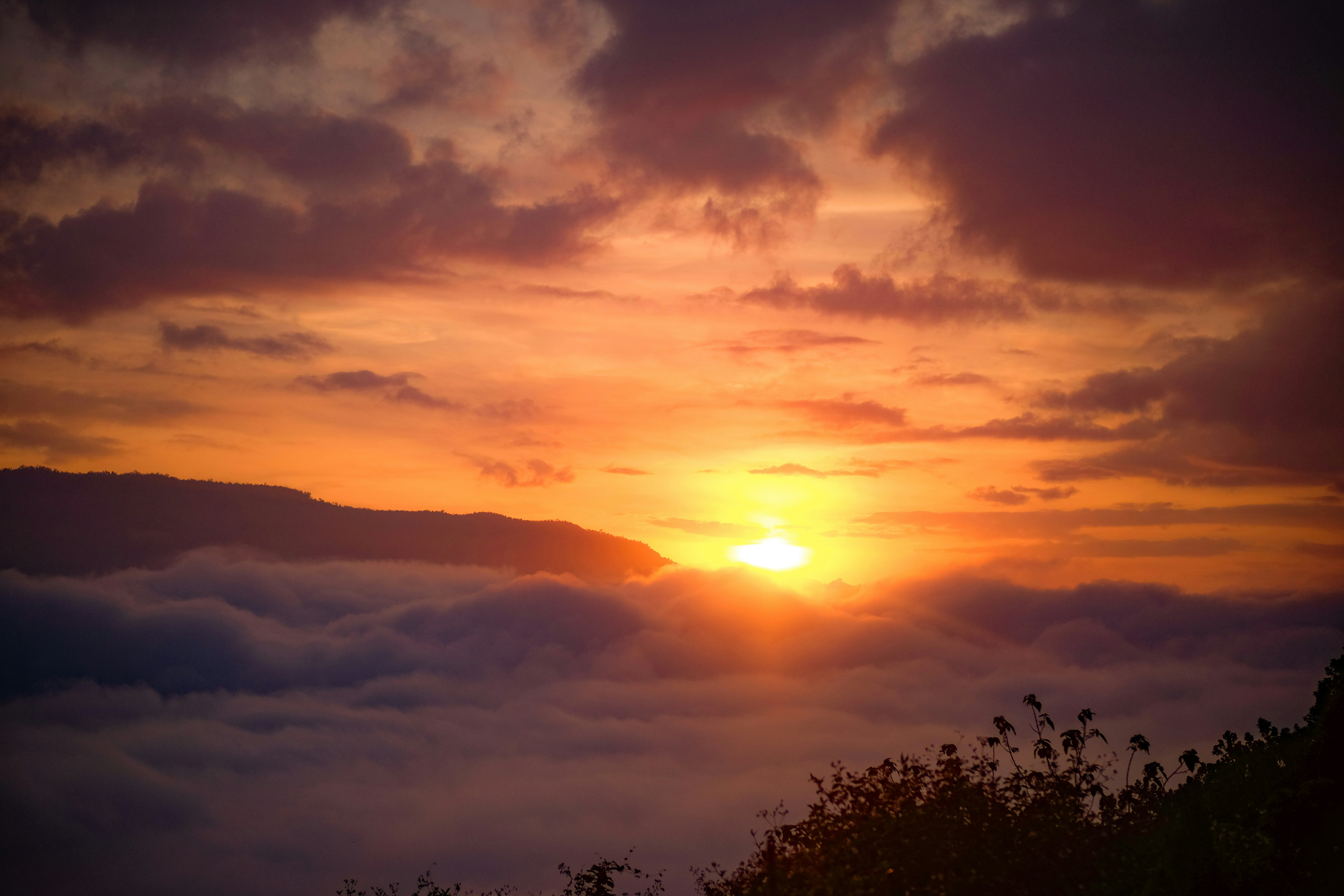 Photo by binhnguyen3033