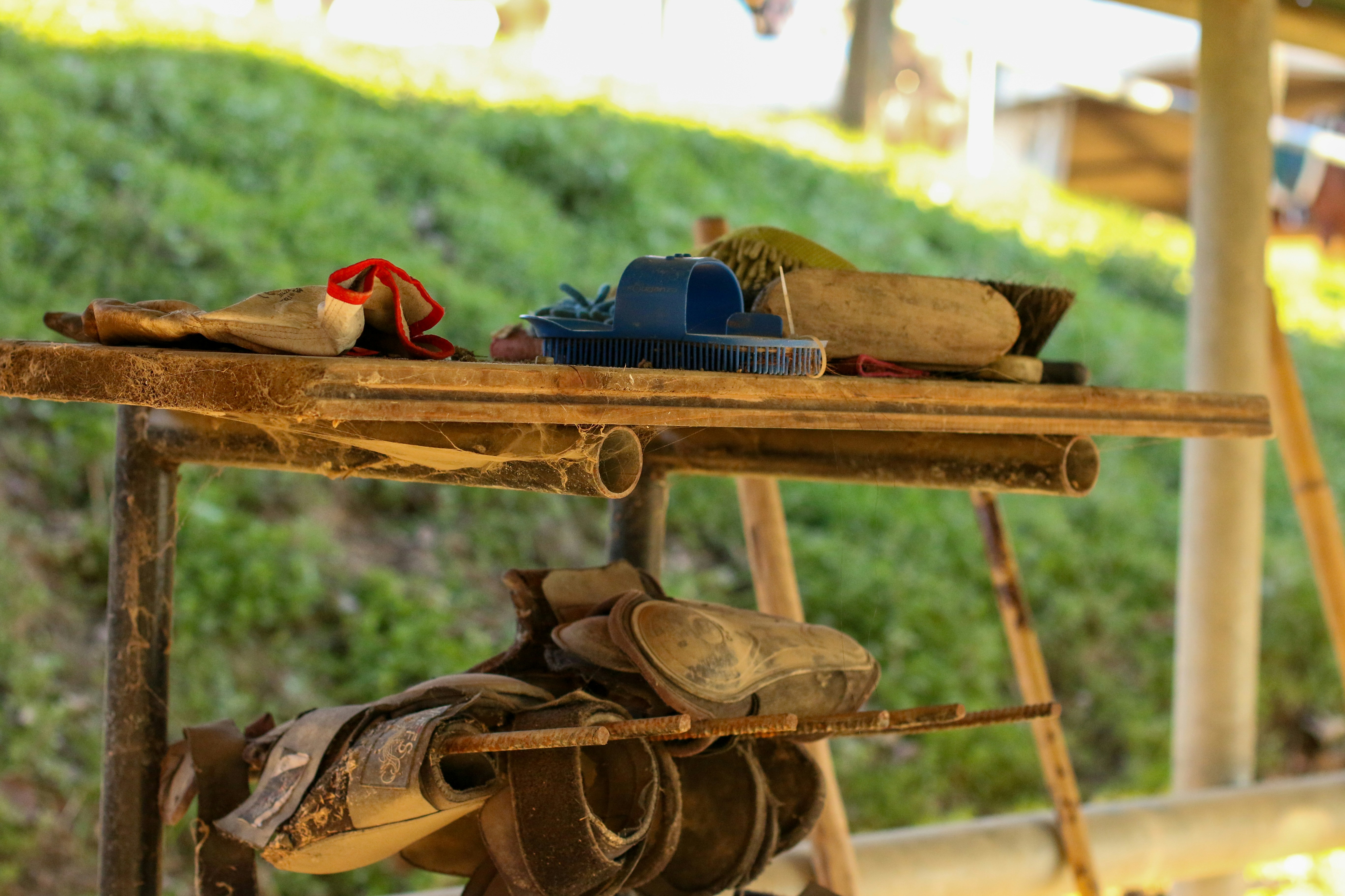 Photo by ale__bosi15