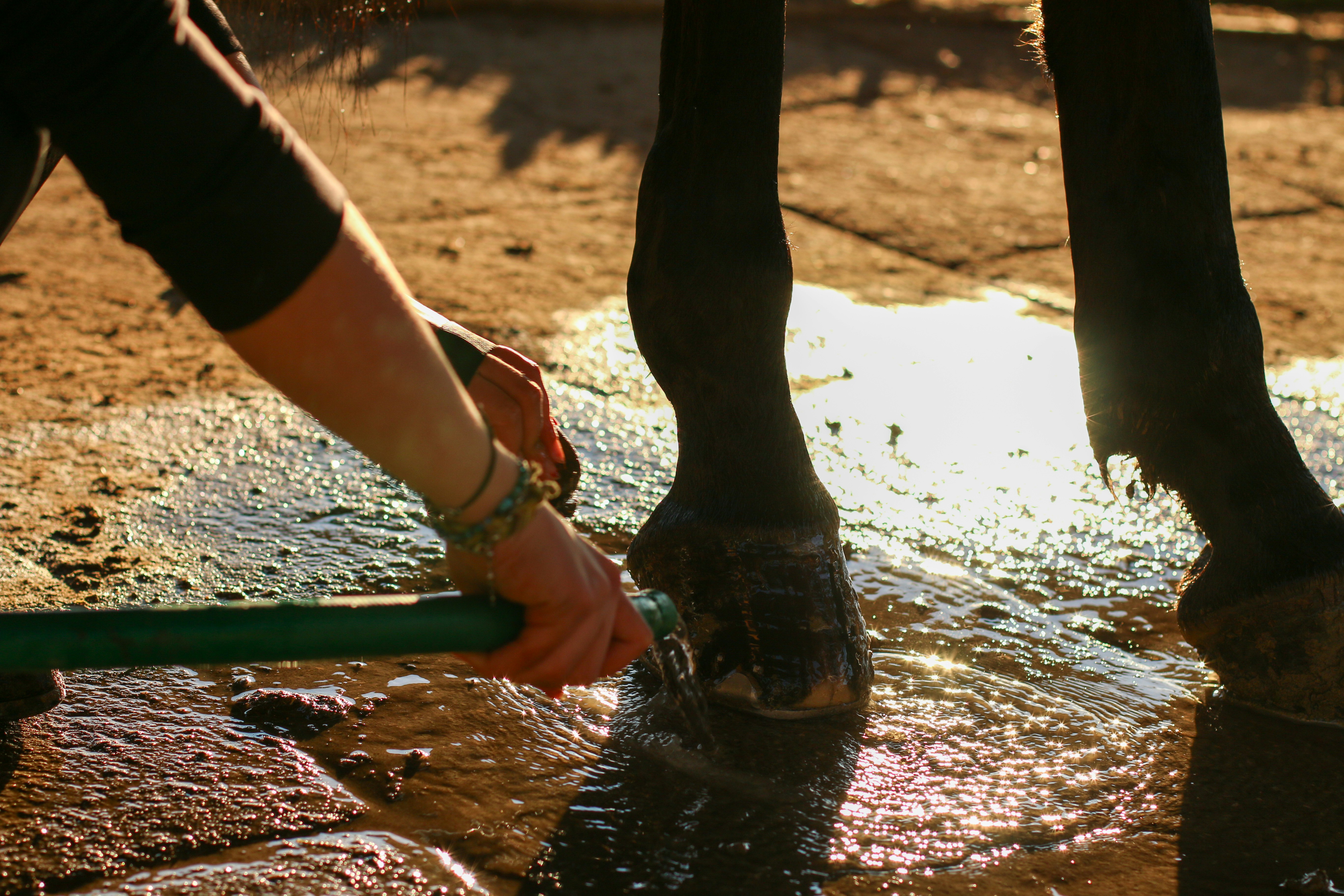 Mare Cleaning