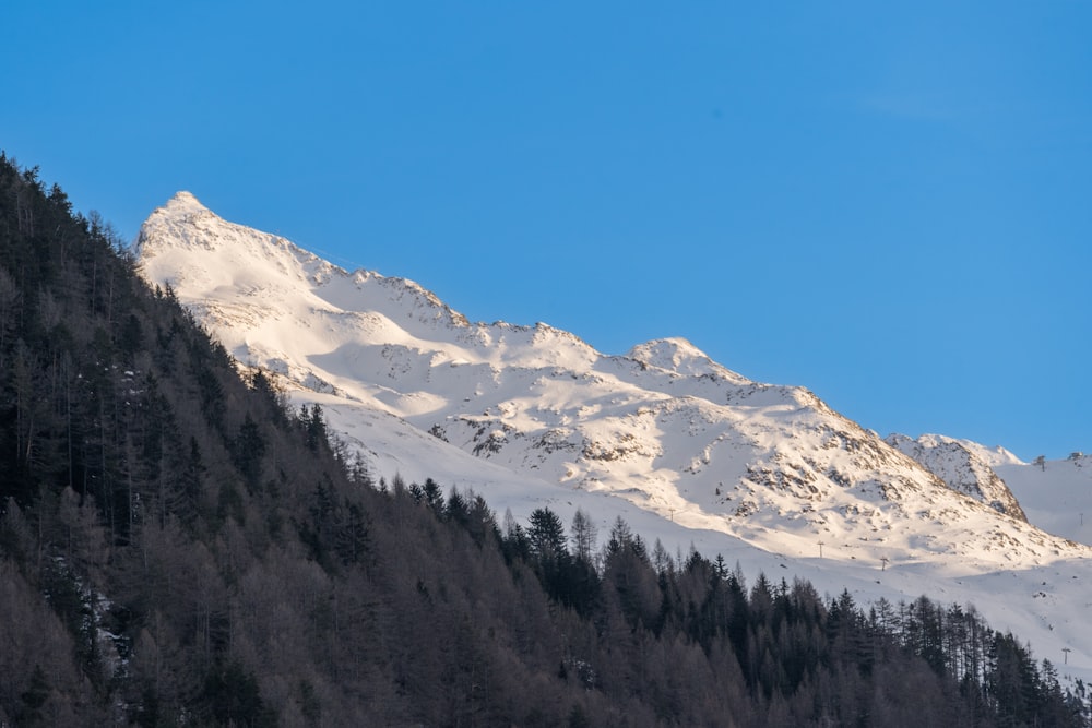 a mountain covered in snow and trees under a blue sky