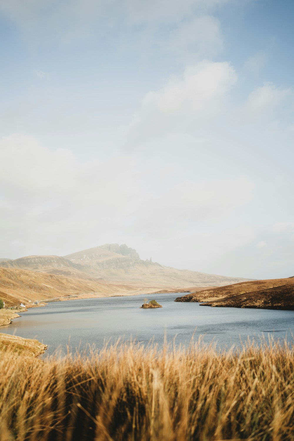 a large body of water surrounded by tall grass