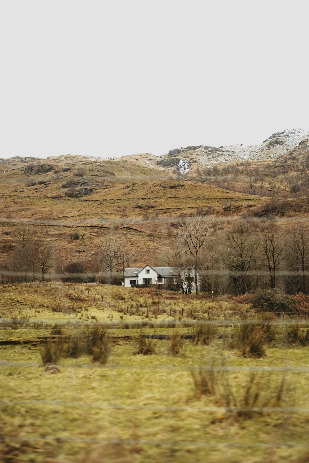 a house in a field with a mountain in the background