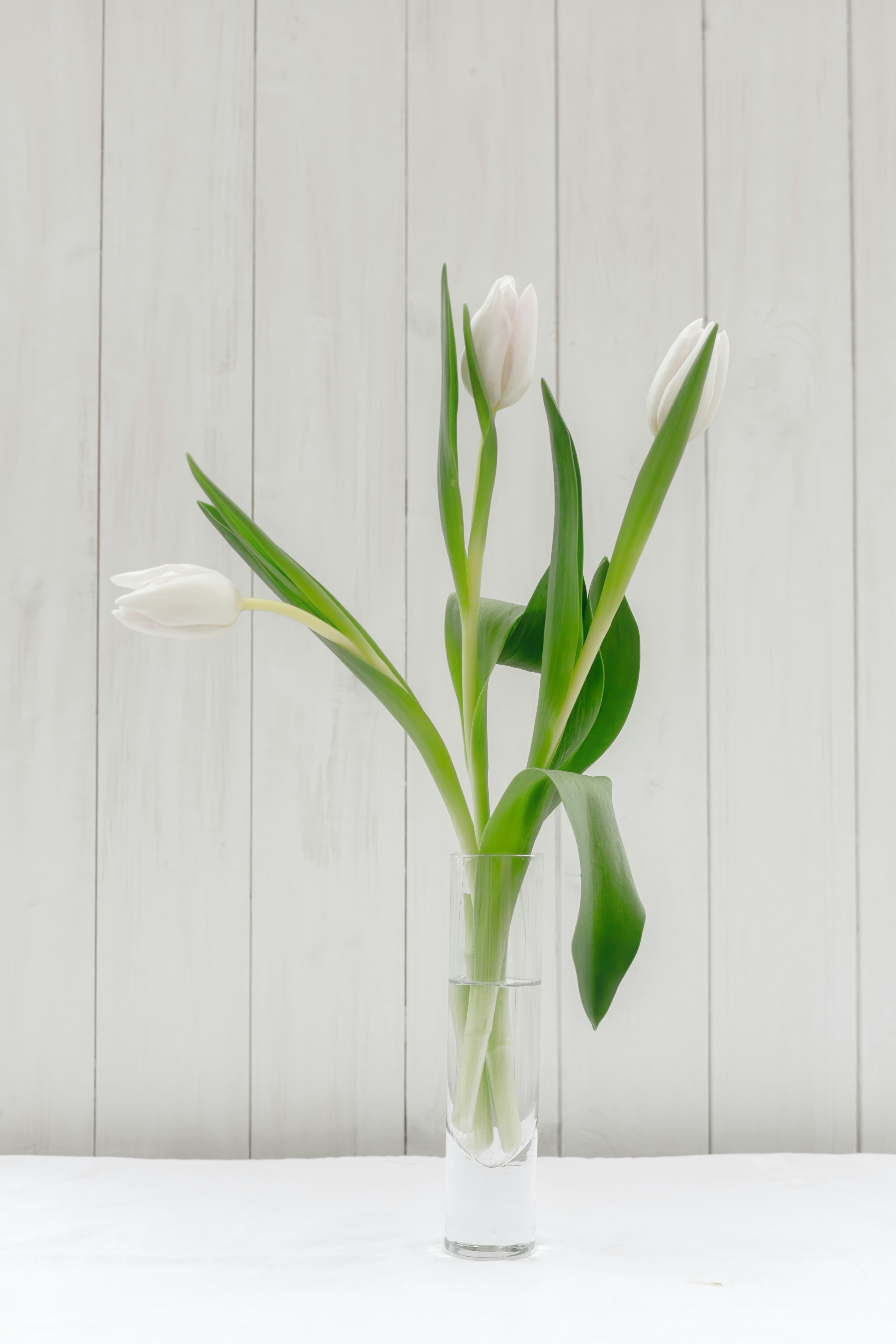 Photo by nataliekinnear