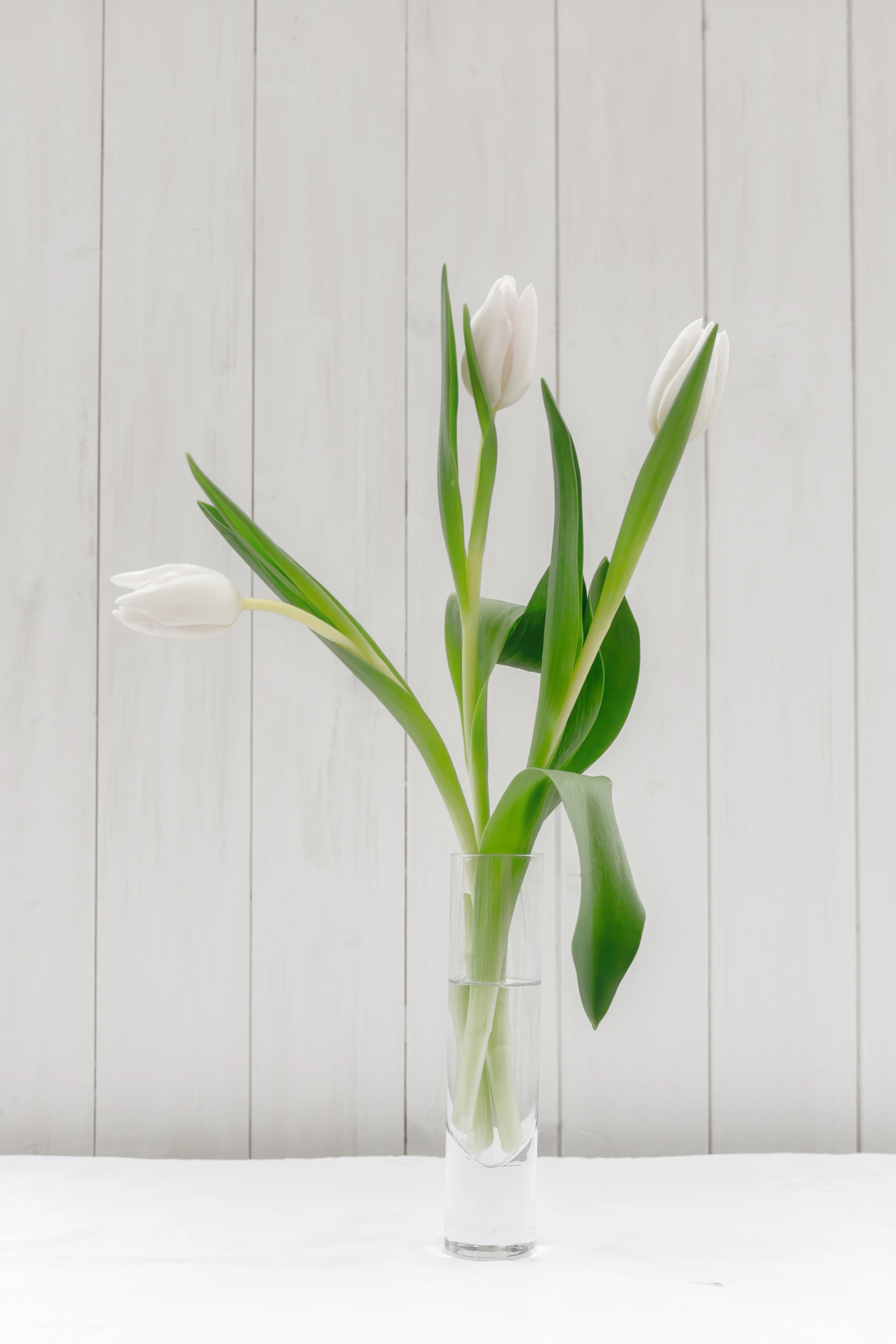 a vase filled with white flowers on top of a table