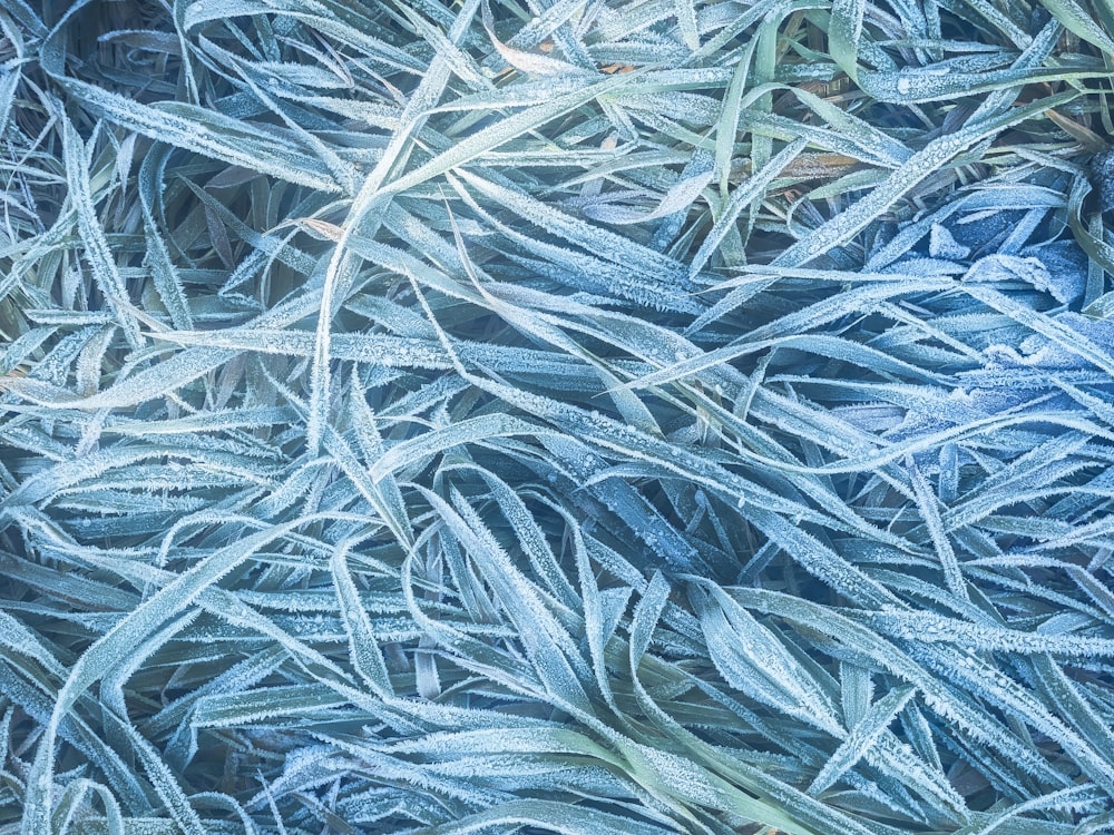 a close up of a bunch of ice crystals