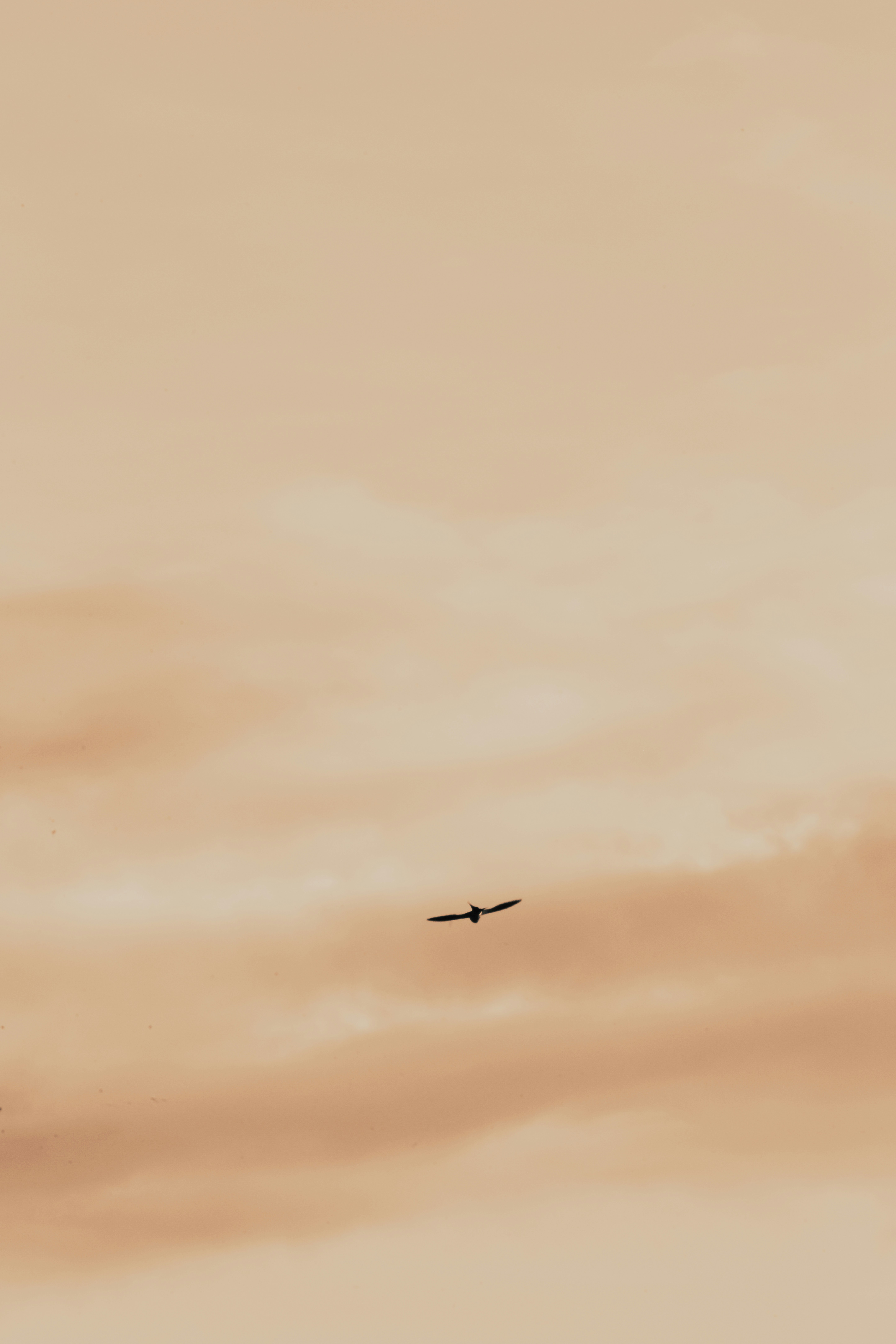 Photo by stevecameup