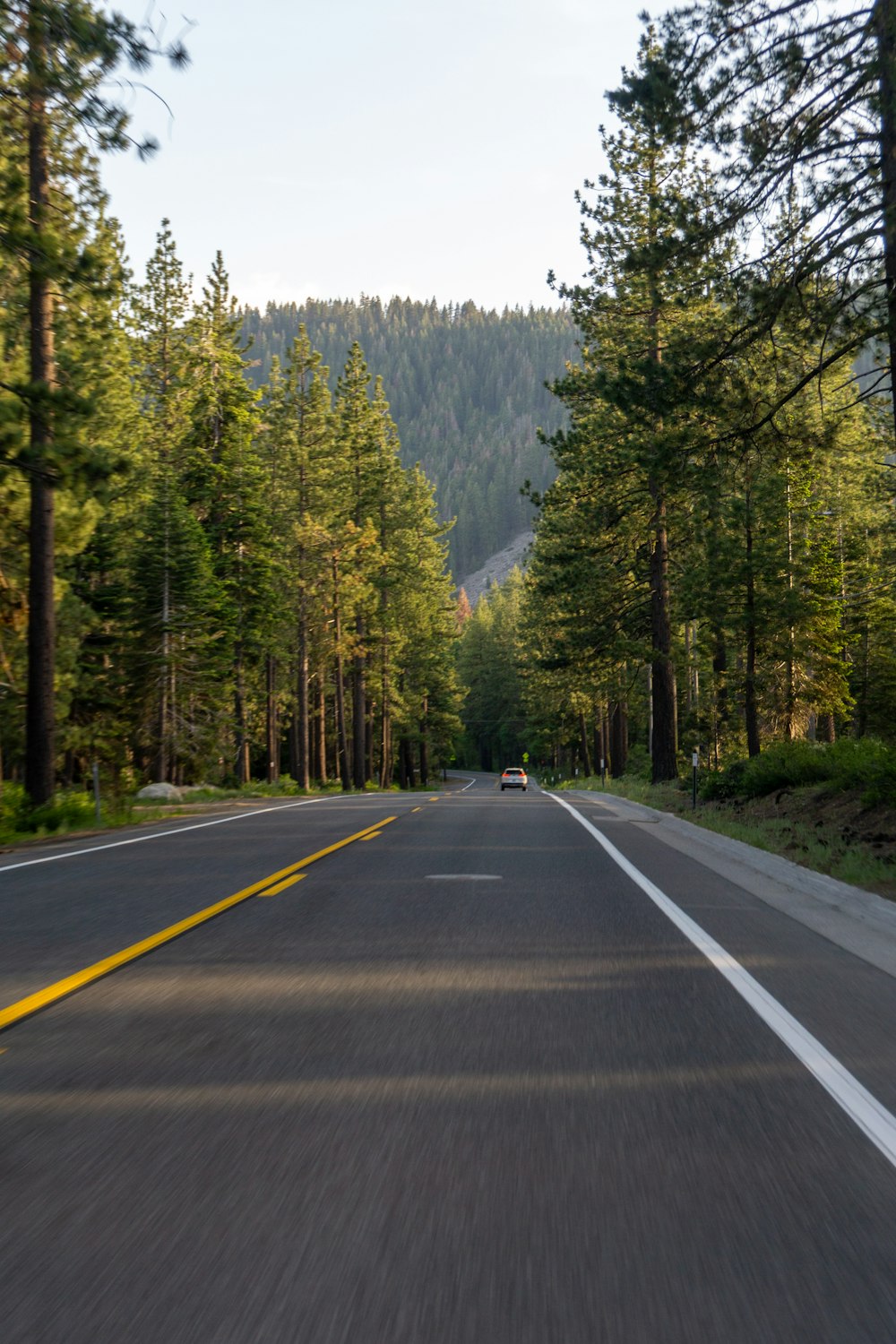 a car driving down a road surrounded by trees