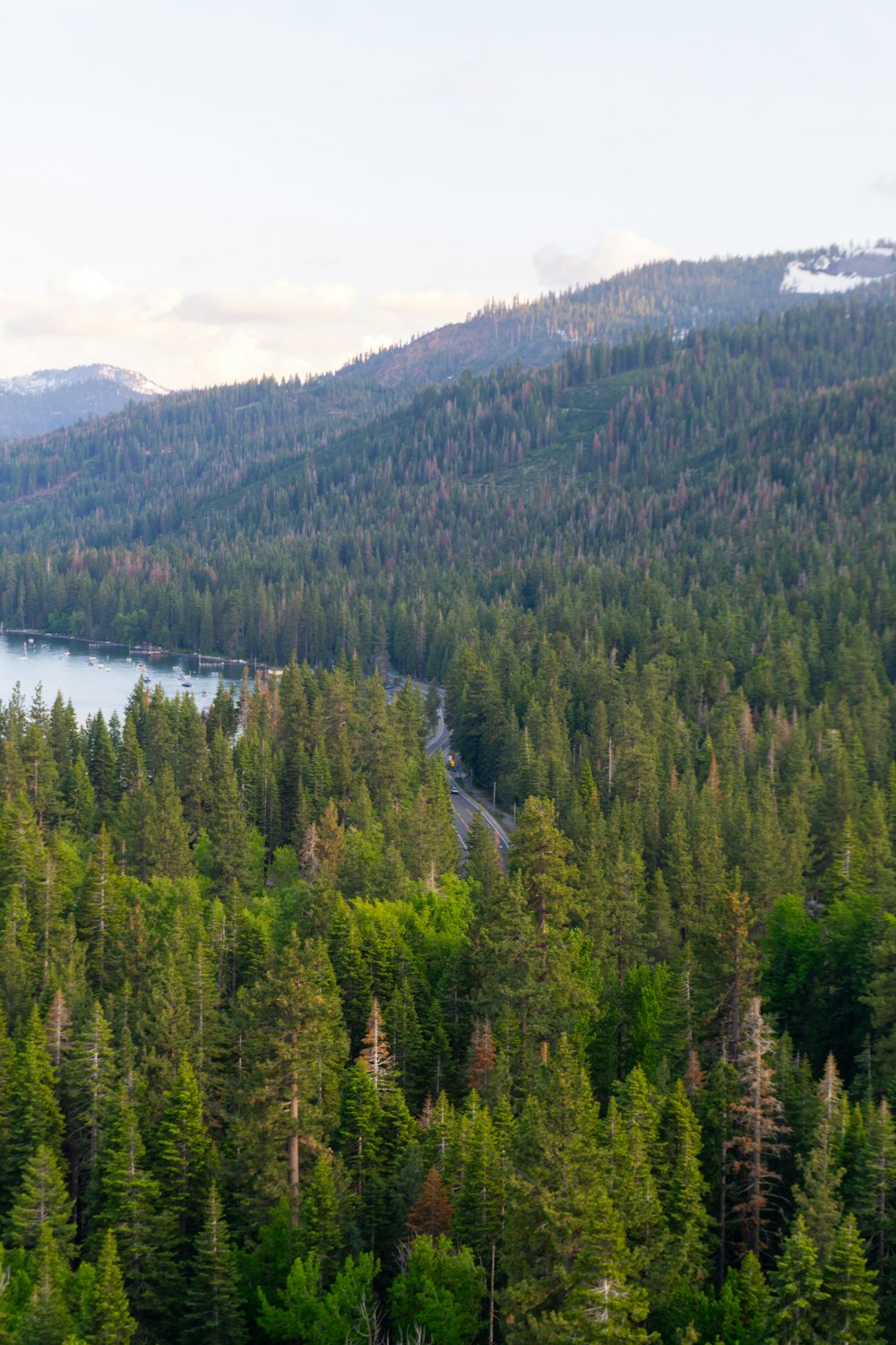 a scenic view of a lake surrounded by trees