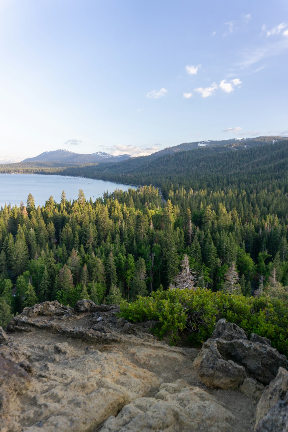 uma vista panorâmica de um lago cercado por árvores
