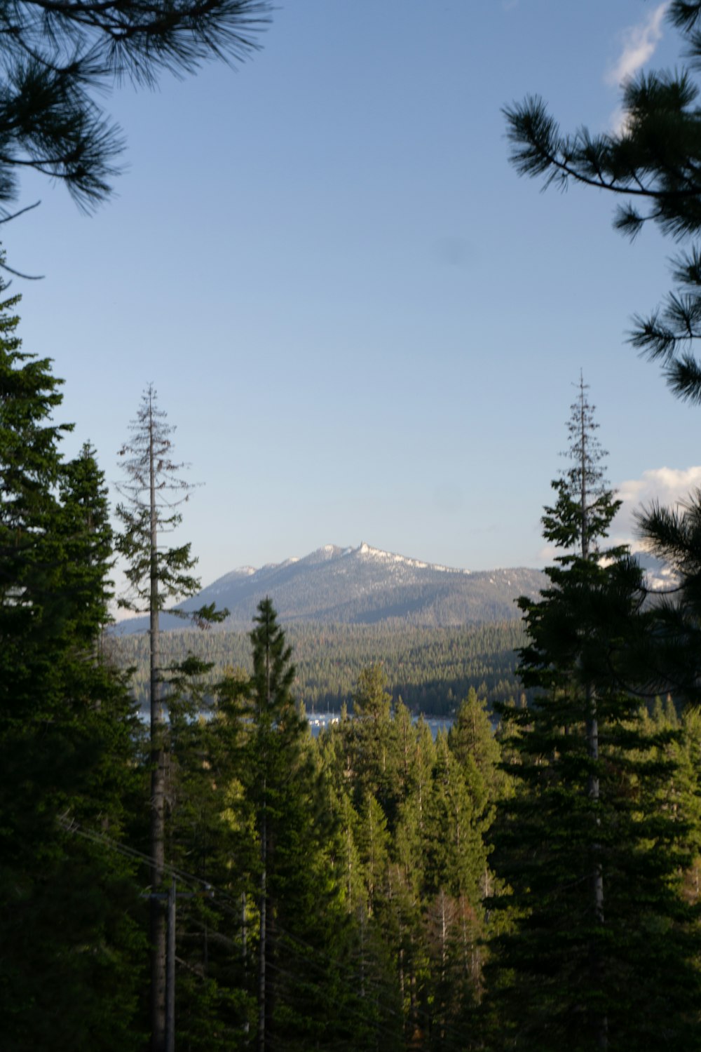 a view of a mountain range through the trees