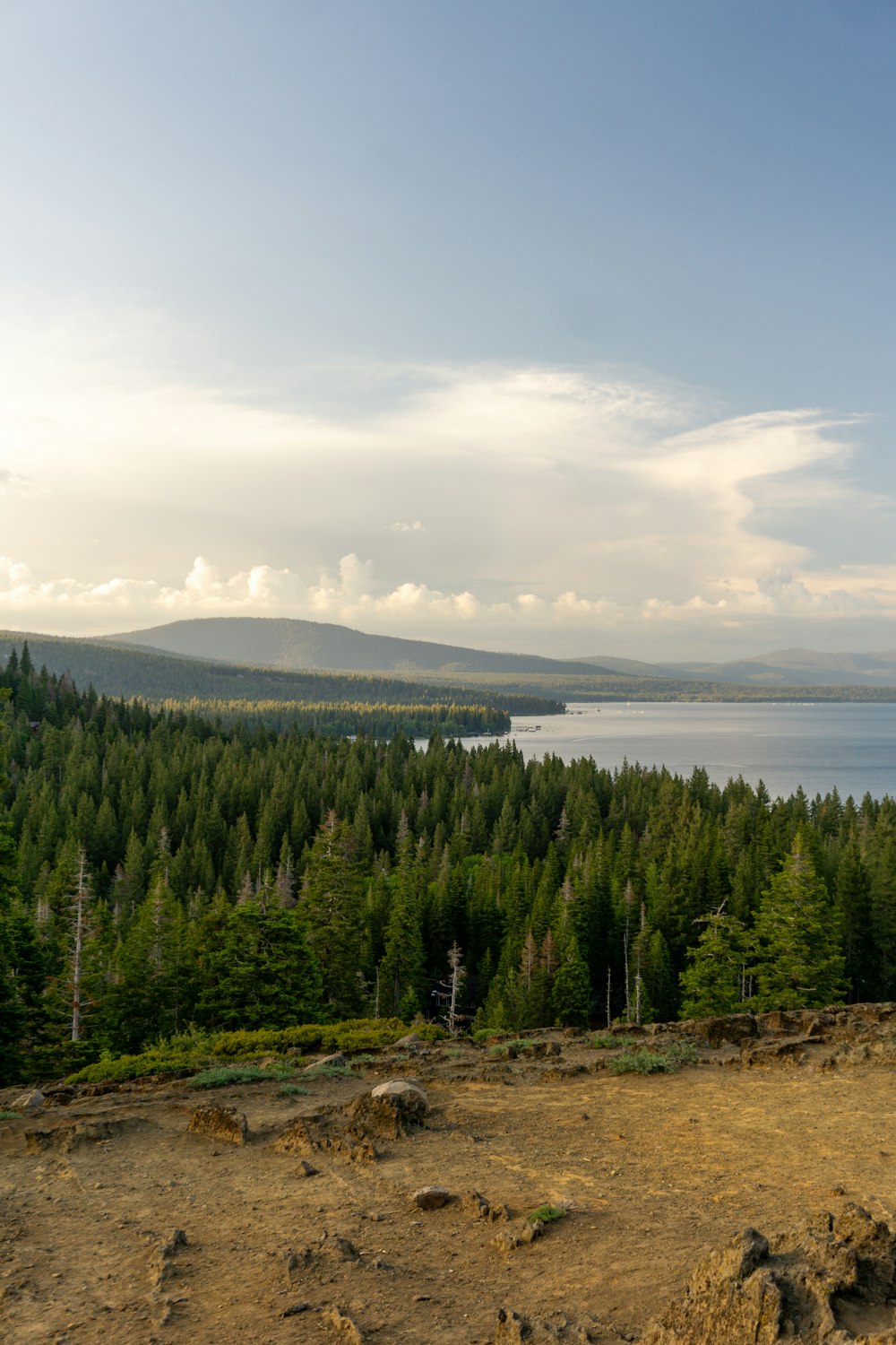 a large body of water surrounded by trees