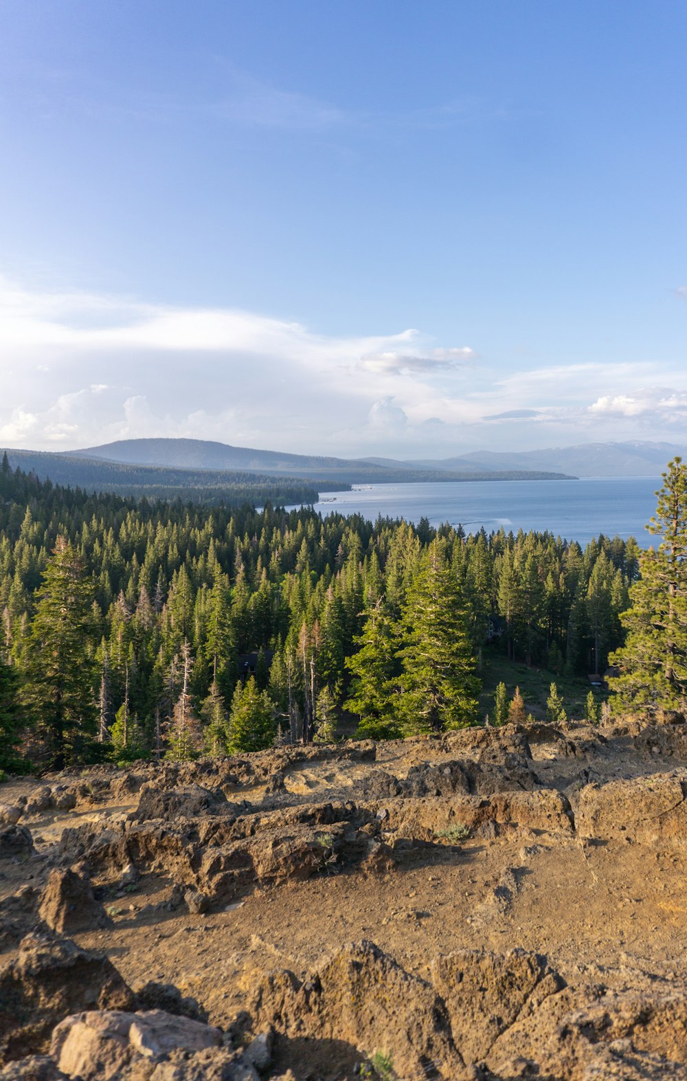 a view of a forest and a body of water