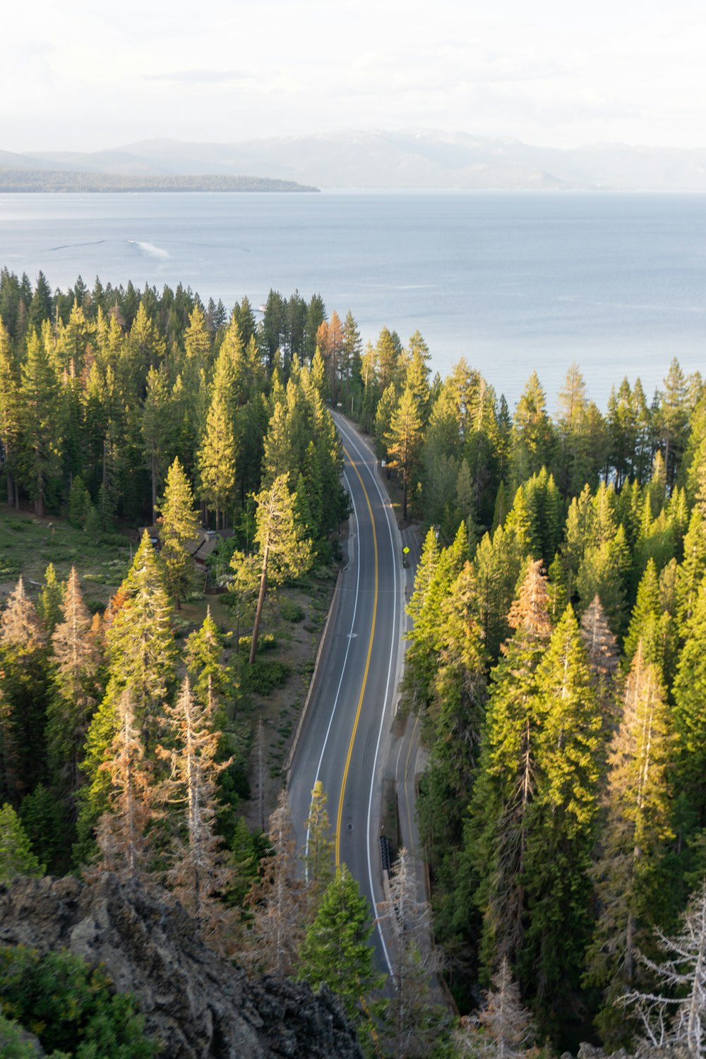 a road winding through a forest next to the ocean