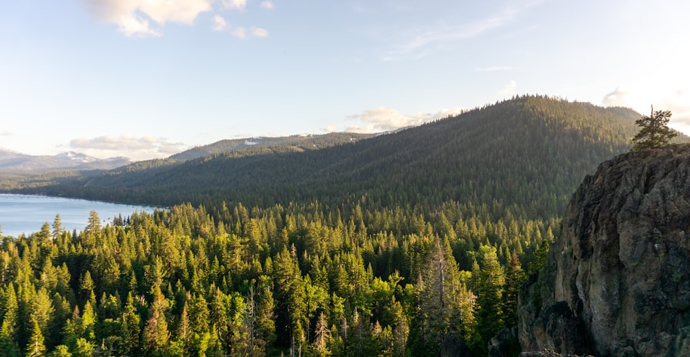 a scenic view of a forest and a lake