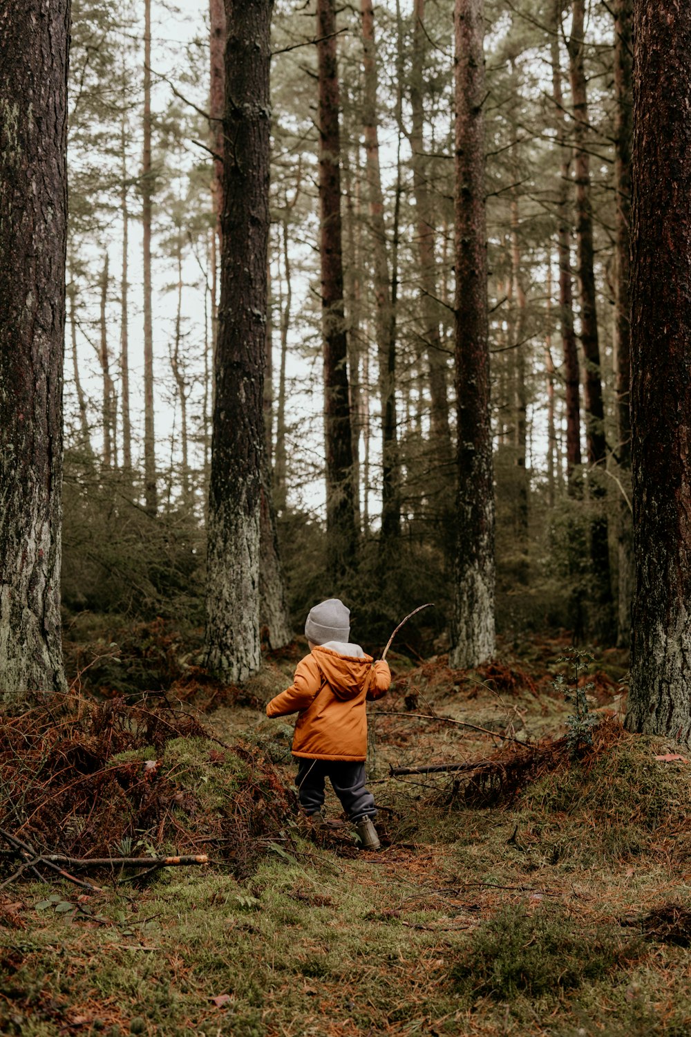 a little boy standing in a forest holding a stick