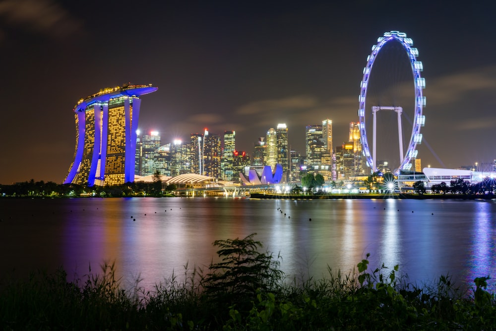 a view of a city at night with a ferris wheel in the foreground