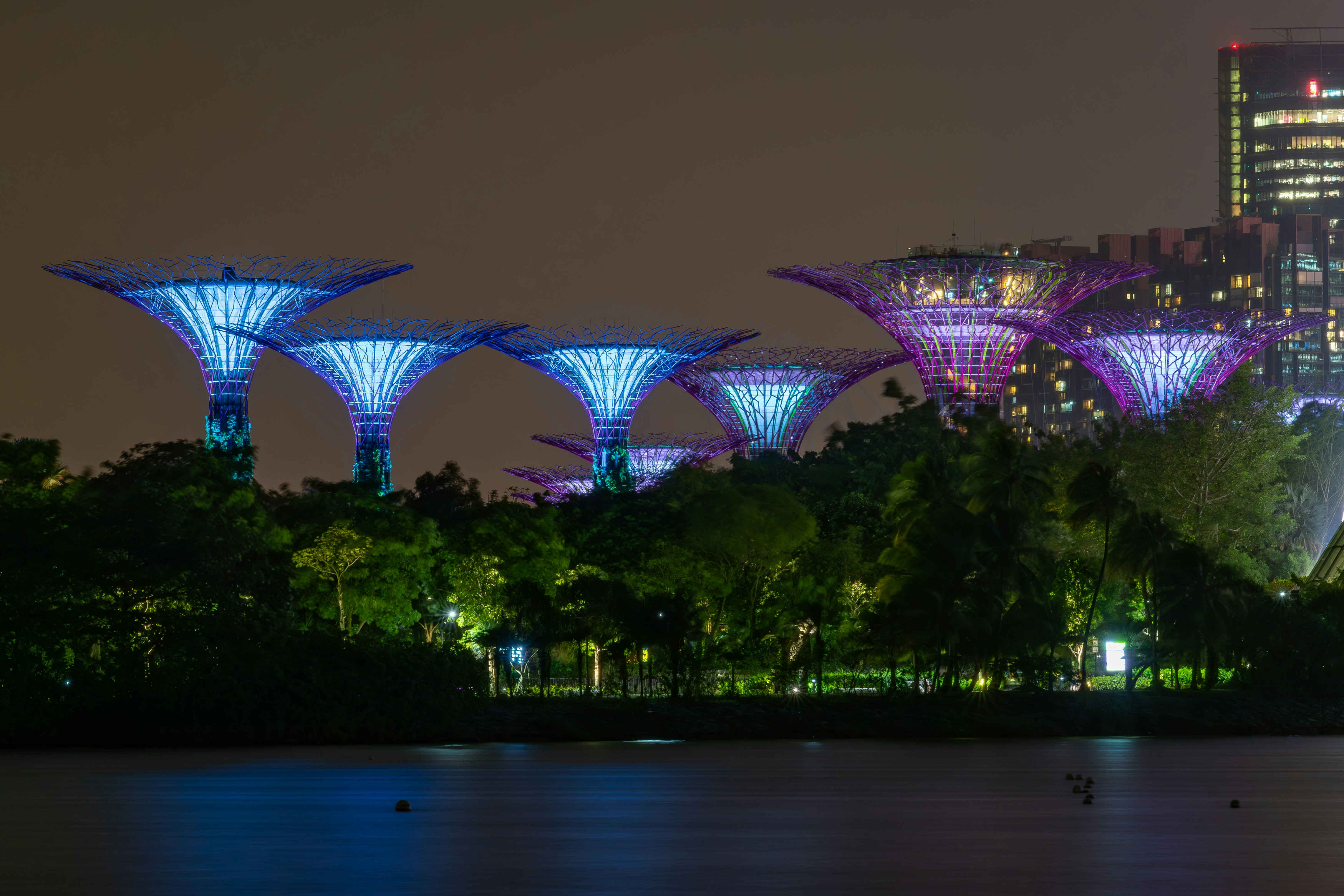 photo-1706550076220-3e2f88dabf1a?ixid=M3