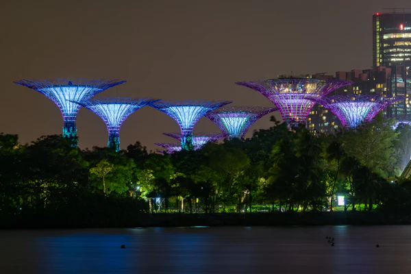 Night lights and reflections at Gardens by the Bay