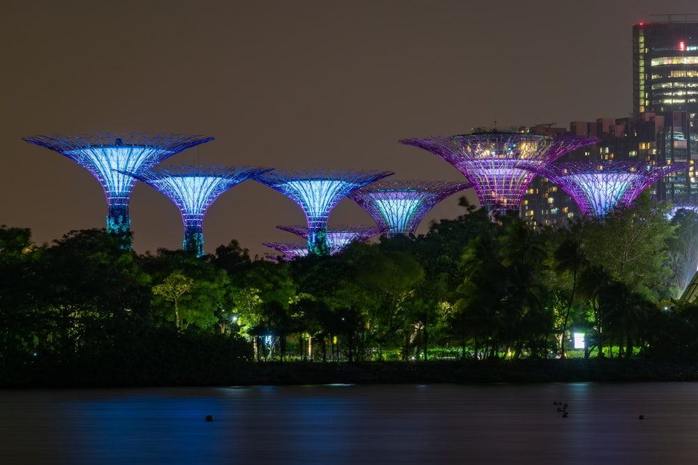 a night view of the gardens by the bay