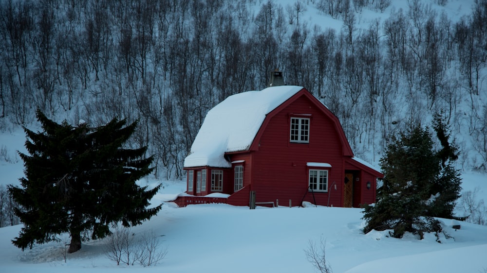 a red house in the middle of a snowy forest