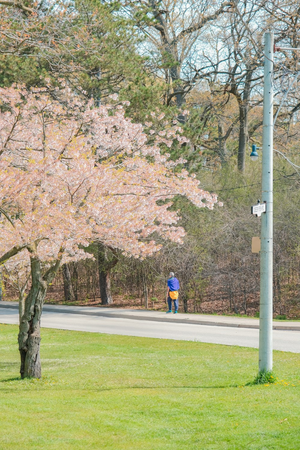 a man walking down a street next to a tree