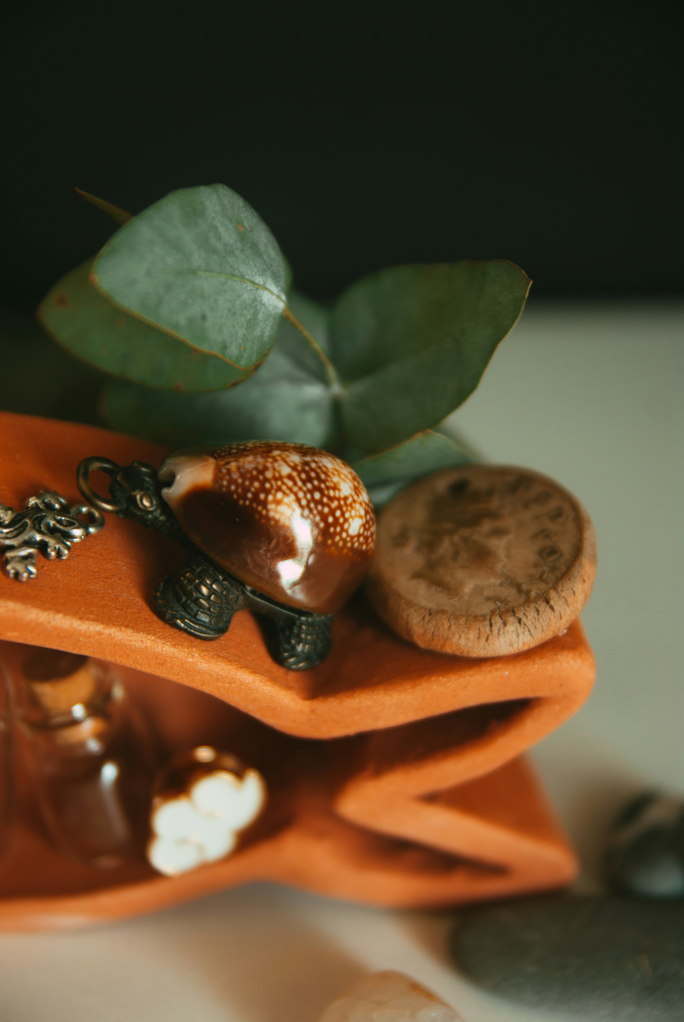 Photo by moonmoons_days